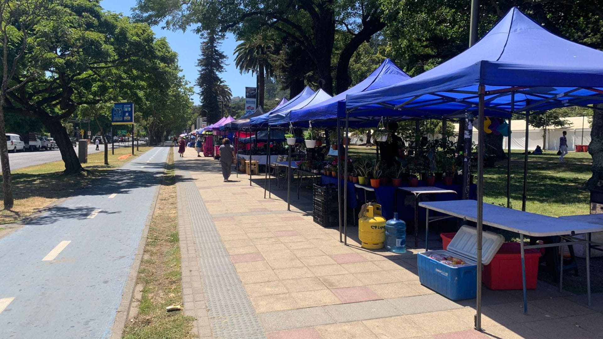 Comercio ambulante incomoda a emprendedores de Feria del Arte de Concepción