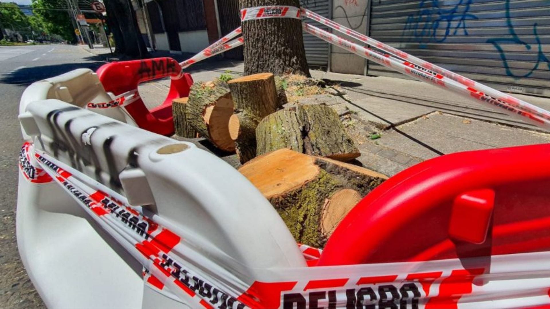 Retiran 4 árboles en mal estado para reconstrucción de veredas de Avenida Chacabuco