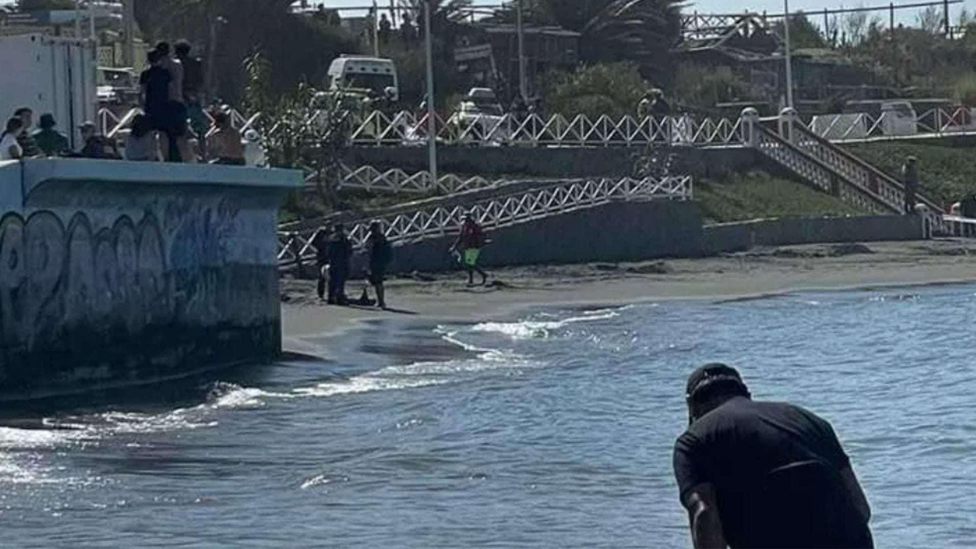 Femicidio en Pichilemu: Funcionaria municipal fue baleada por expareja en medio de fiscalización