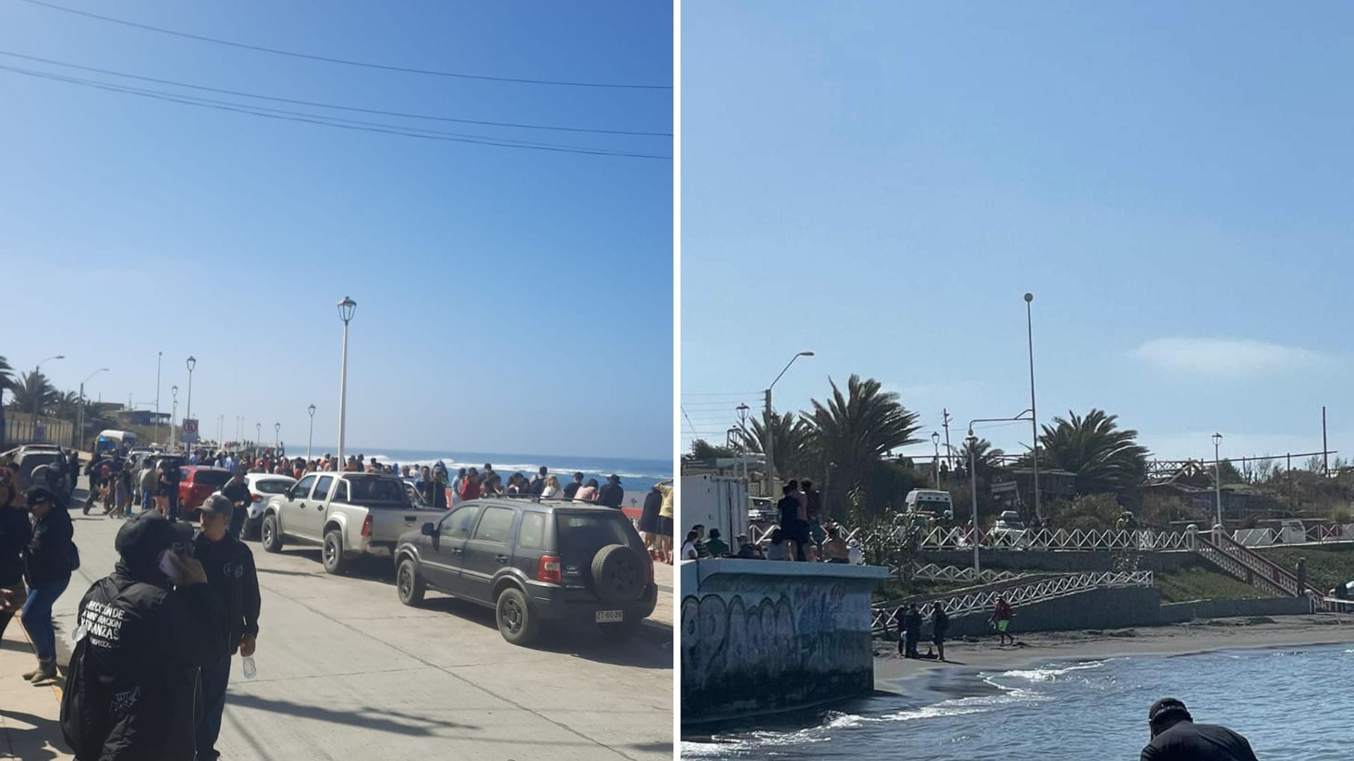 Confirman que hombre que asesinó a su expareja en Pichilemu está con muerte cerebral