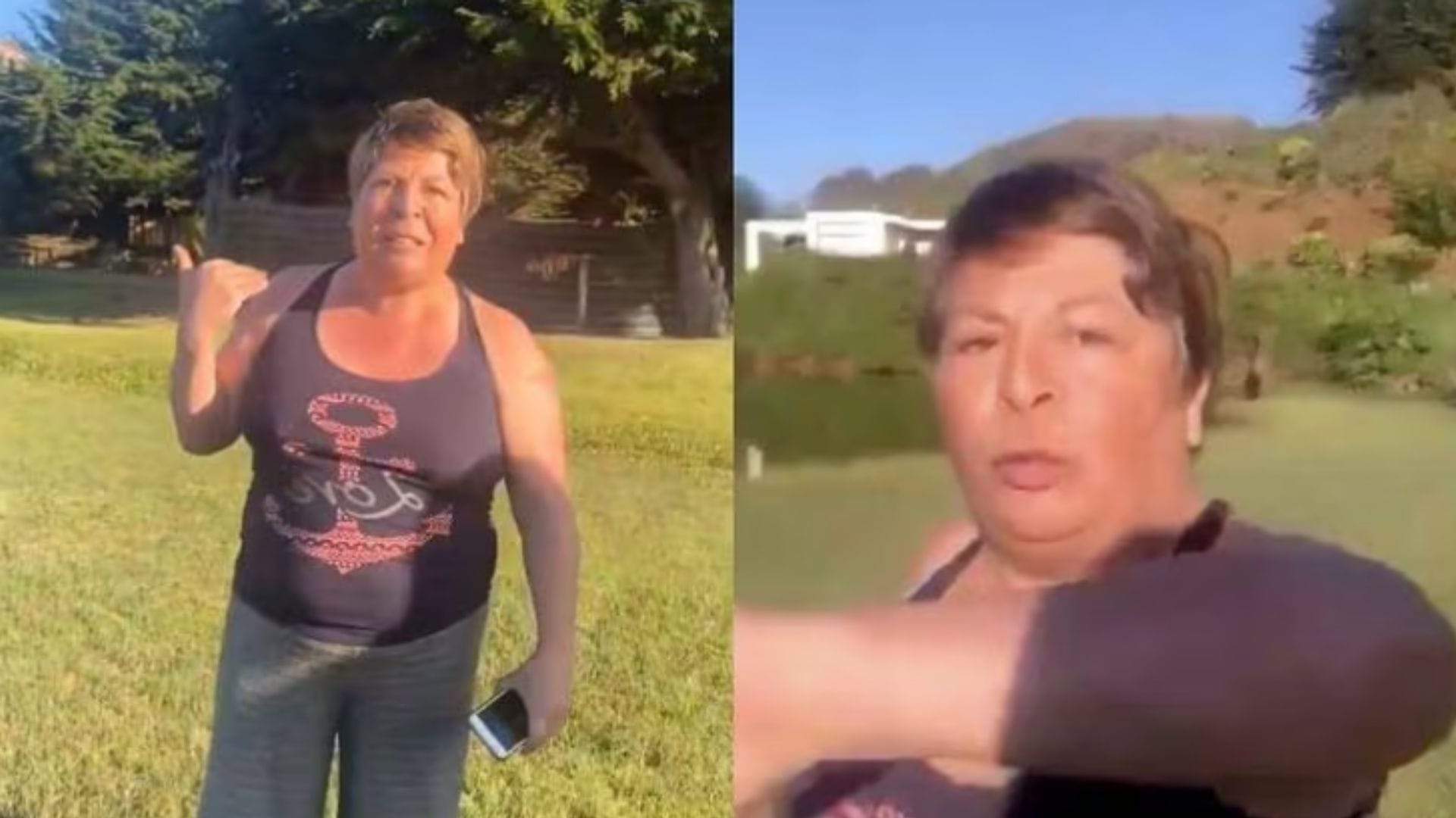 Dueña de camping violentó a veraneantes y les negó el acceso al Lago Budi