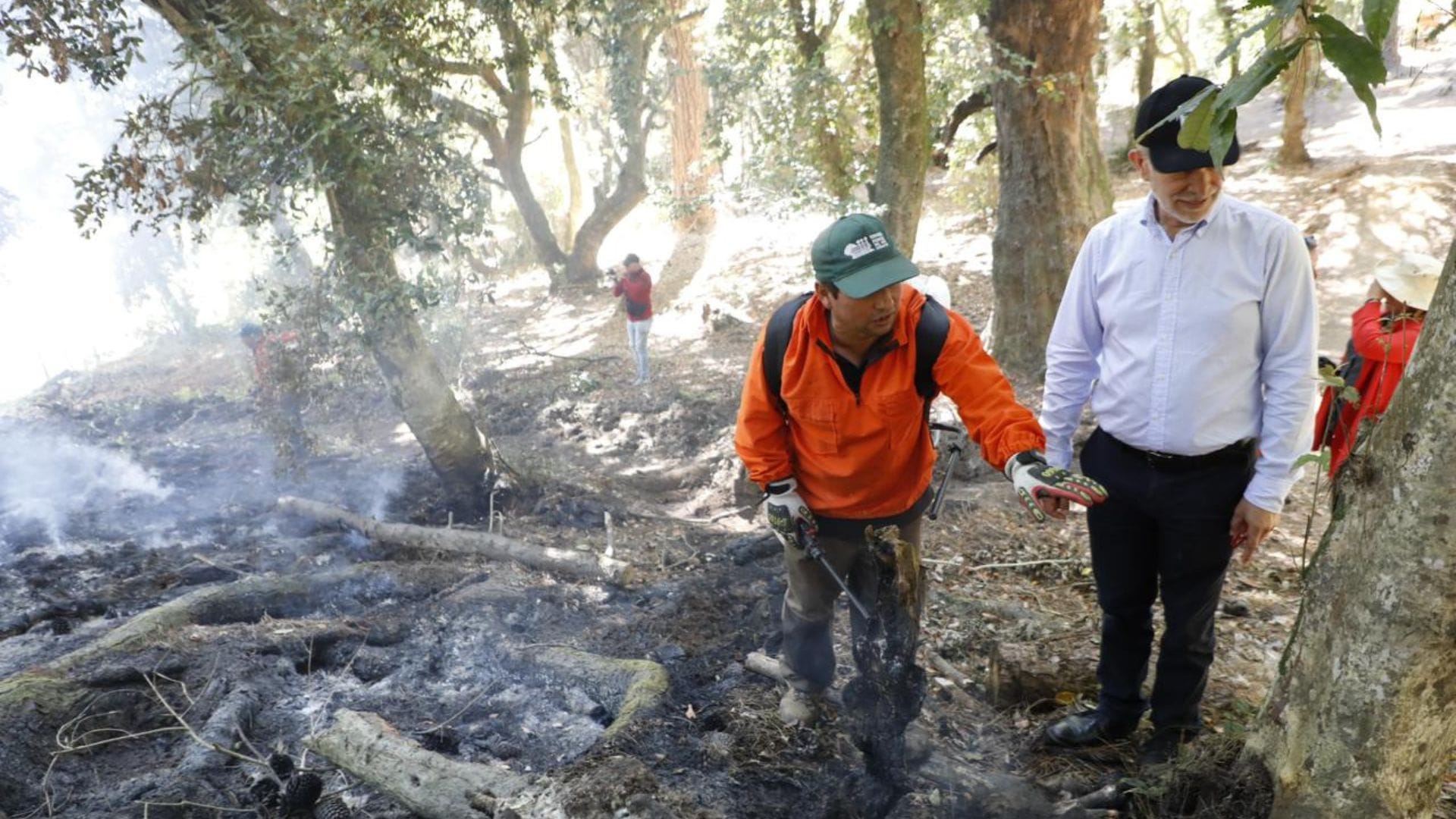 Gobierno Regional se querella por incendio forestal en Parque Pedro del Río Zañartu de Hualpén