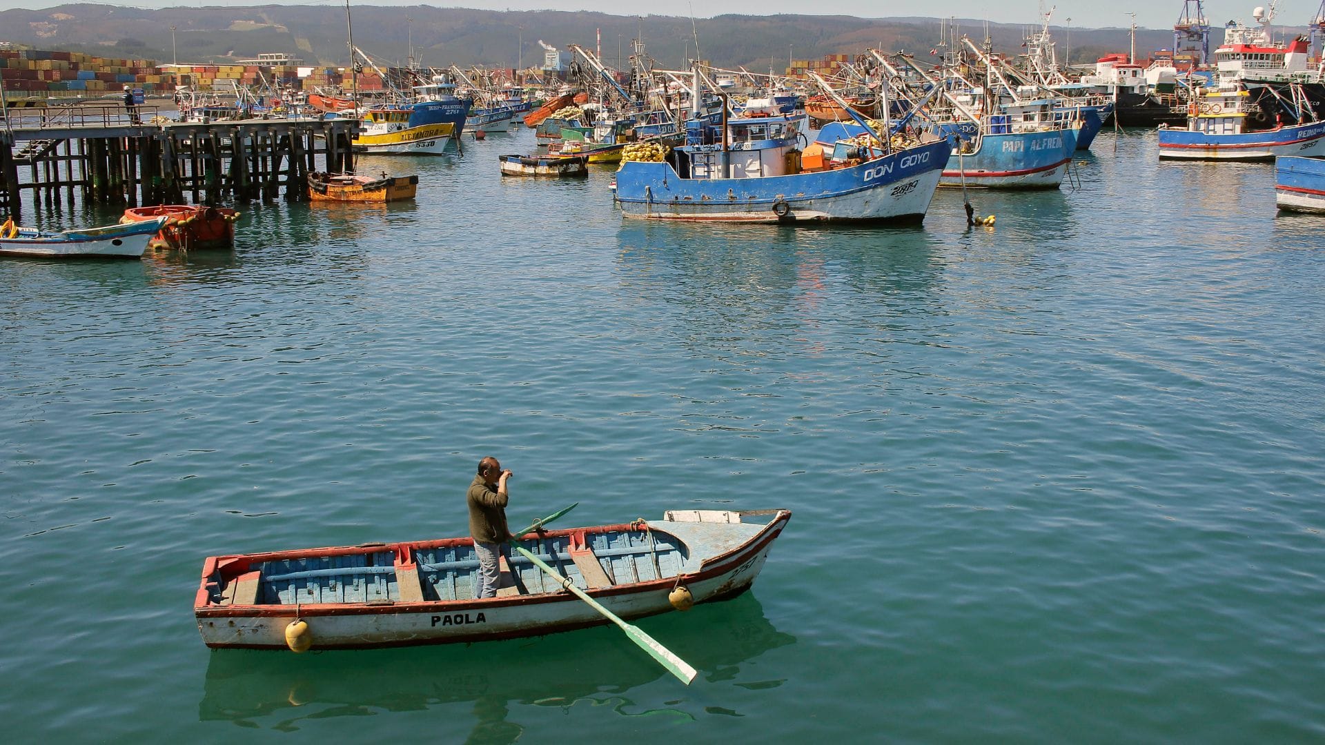 Lo que arriesgamos cuando hablamos de la nueva ley de pesca desde la ignorancia y la falta de experiencia