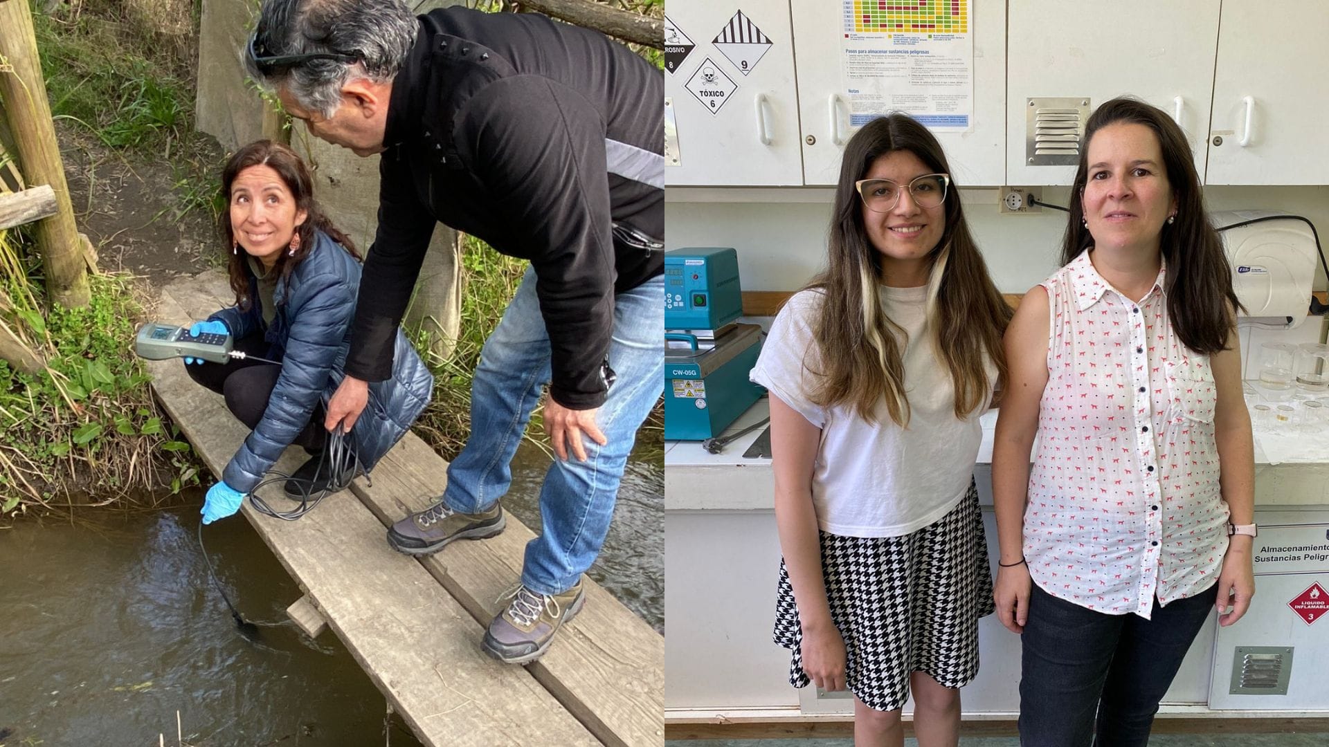 Científicas de la Universidad de Concepción desarrollan sensor en base a boldo para monitorear la calidad del agua