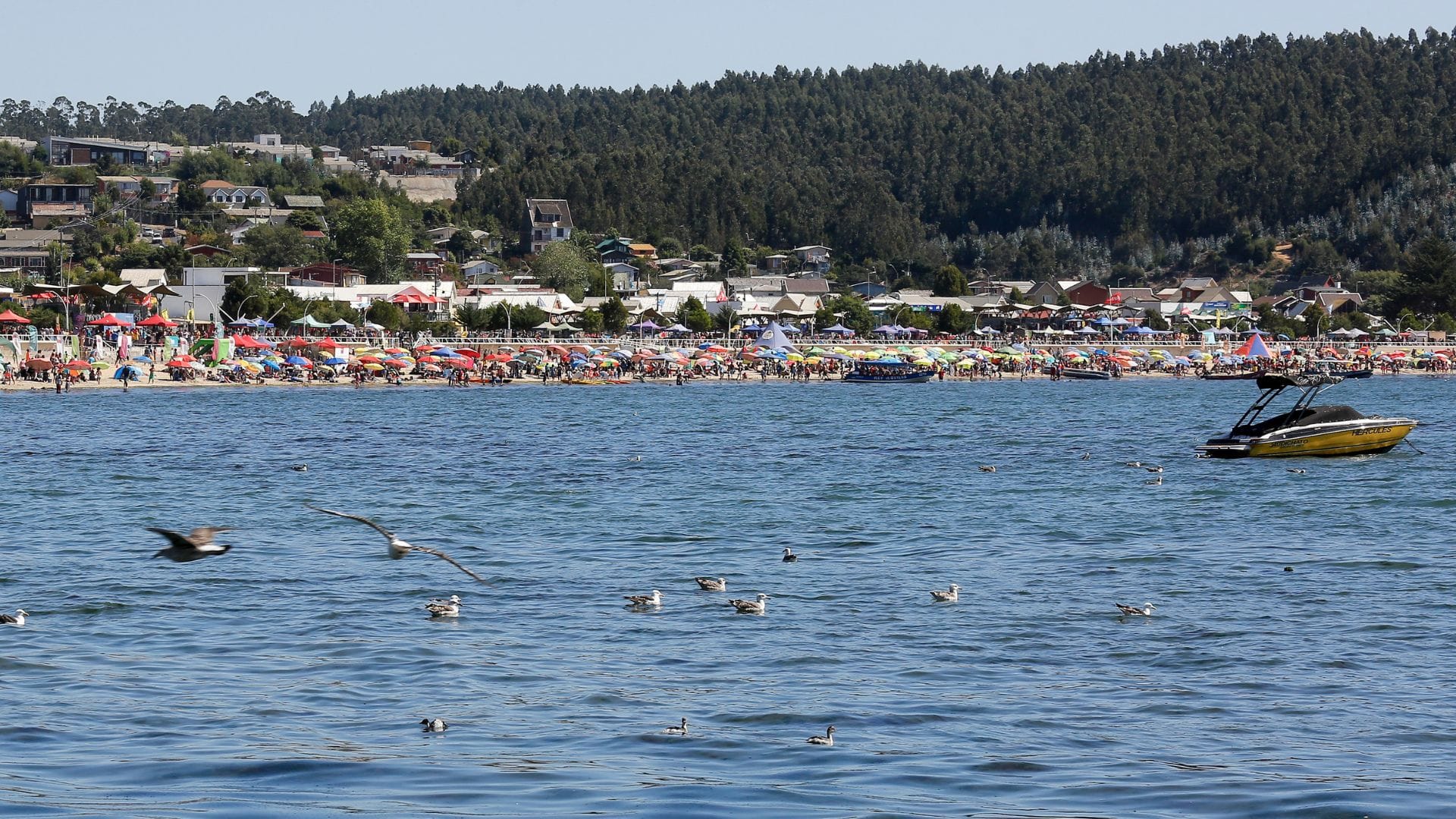 Emiten aviso meteorológico por vientos en el Biobío y Ñuble
