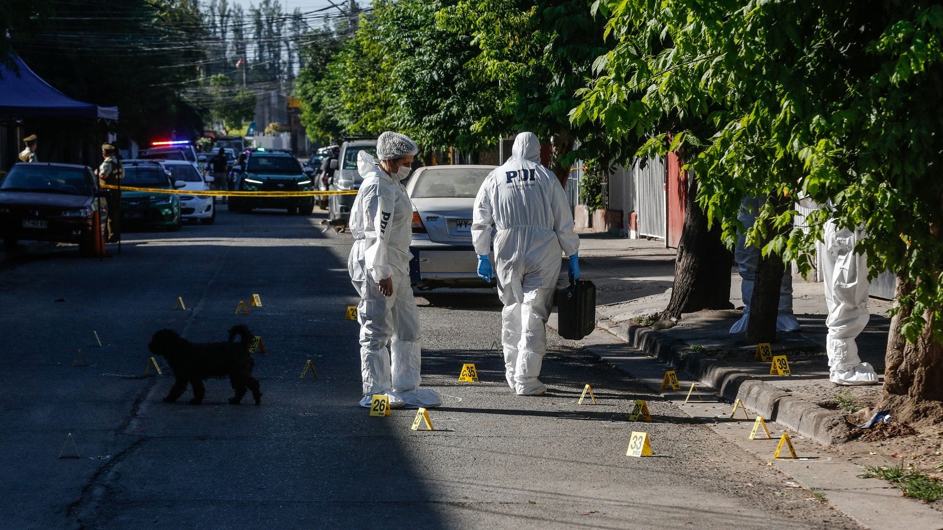 Editorial: Todo el poder del Estado sólo ha logrado estabilizar los homicidios en Chile
