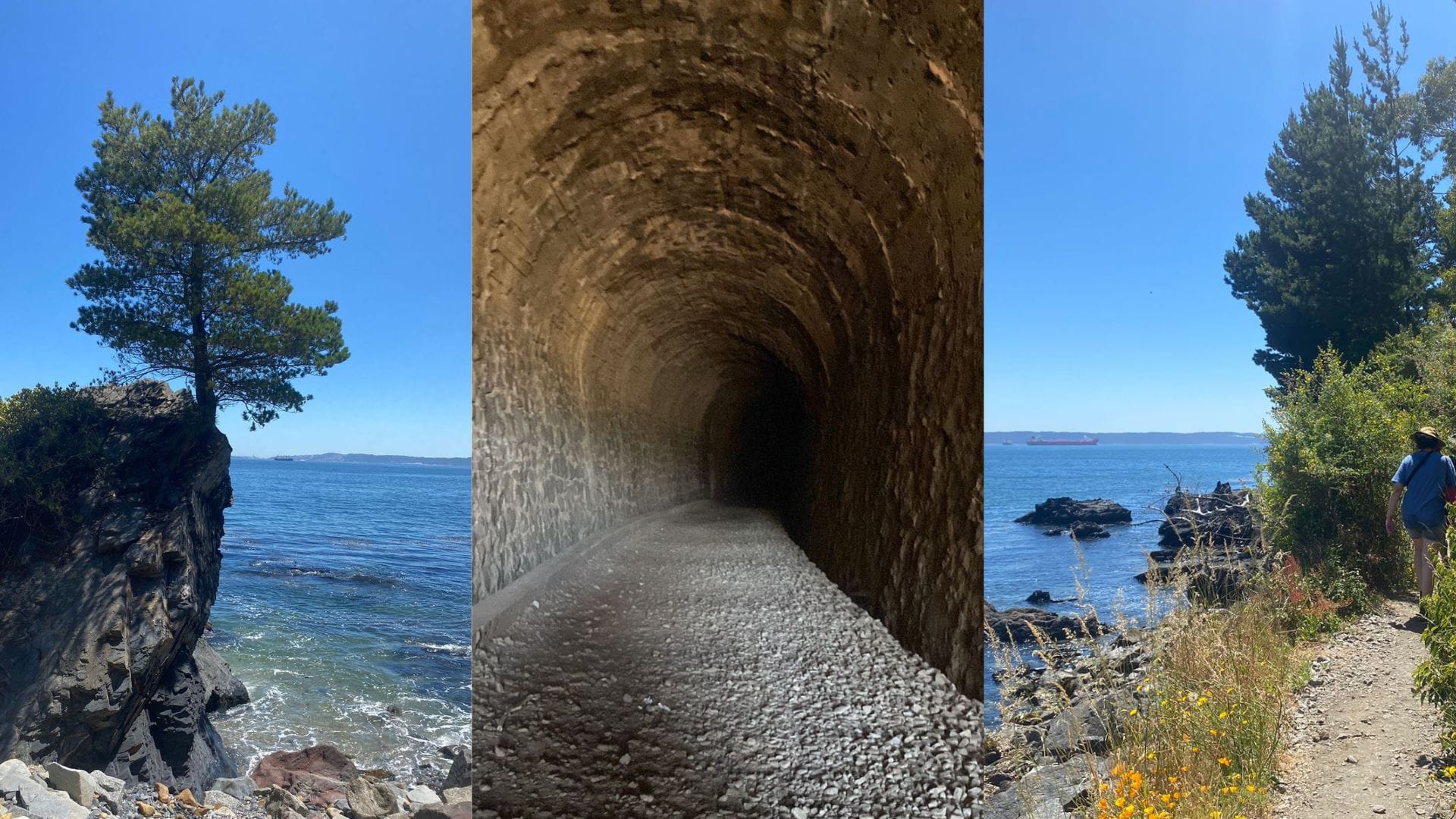 Un túnel y una gran caminata: El maravilloso sendero por la playa que une Lirquén y Tomé