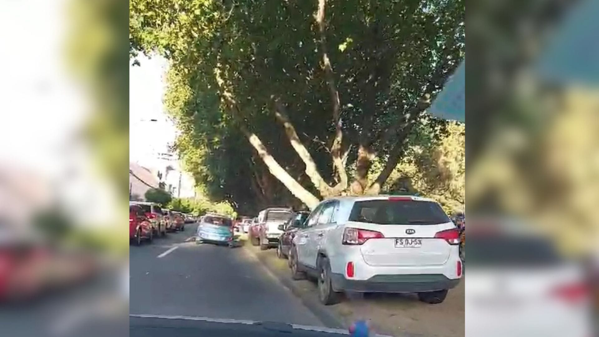 Nuevamente caos en el Parque Ecuador: vehículos estacionados sobre el prado generan molestia