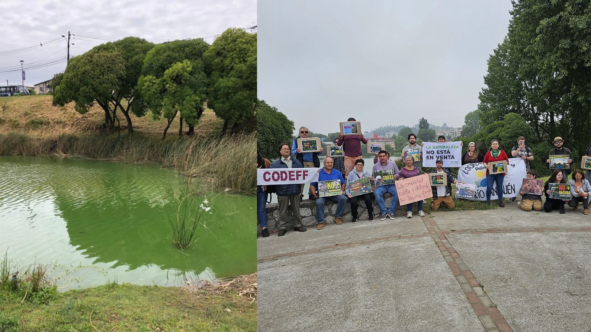 Vecinos de Laguna Lo Méndez de Concepción piden actuar ahora y no esperar que proceso de contaminación desaparezca por sí solo