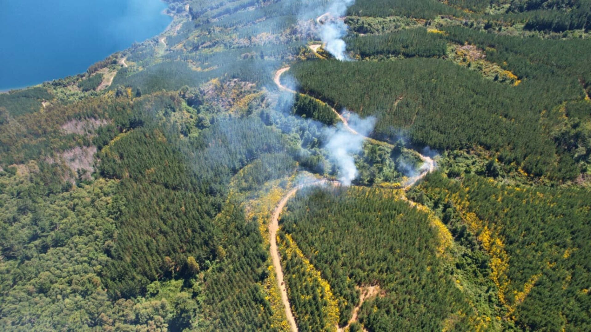 Alertan sobre expansión de multifocos de incendios forestales en Arauco