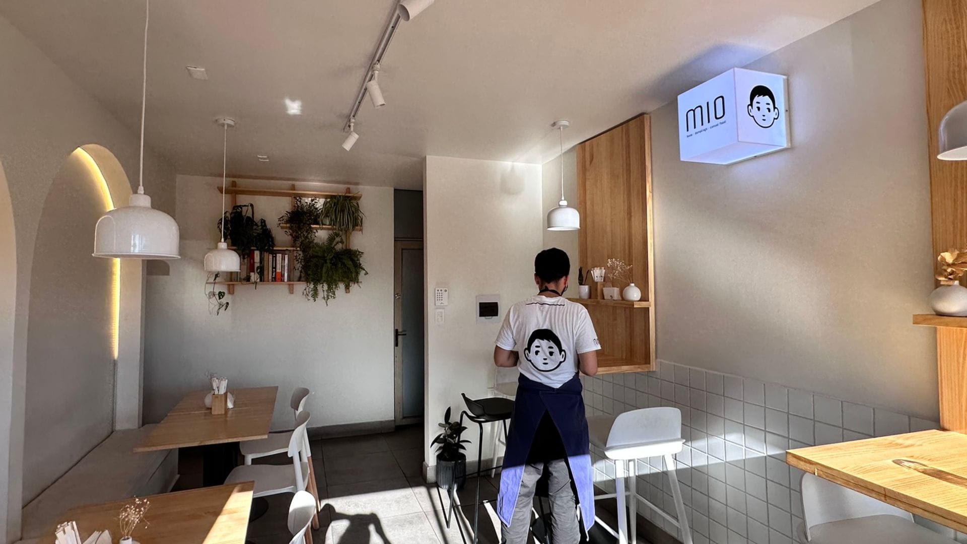 Un mix de comida asiática en San Pedro de la Paz: La arriesgada cocina de Mio Dimsum