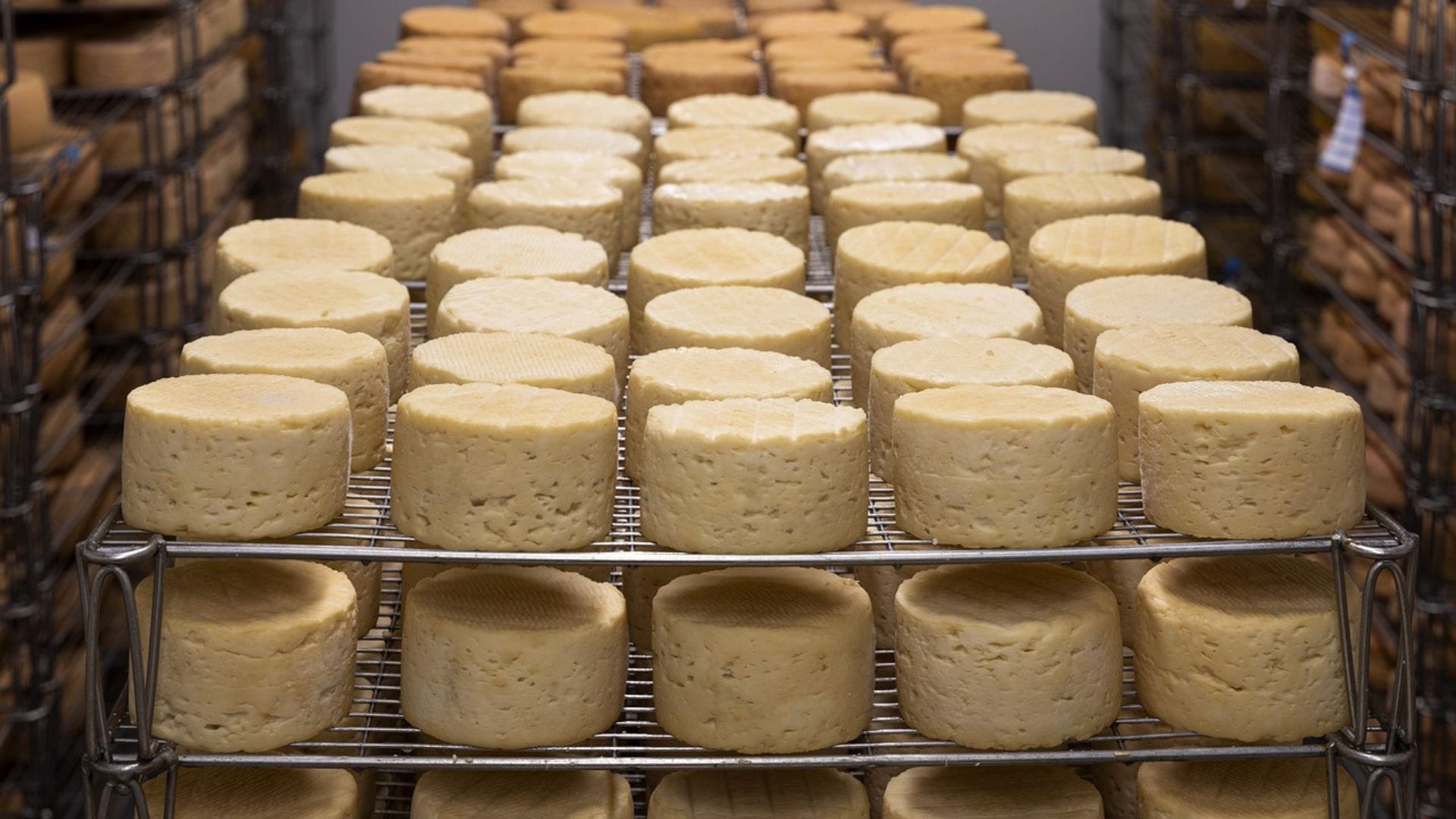 Dos están en la UCI: 66 personas se intoxicaron tras brote de salmonella por consumo de queso de cabra