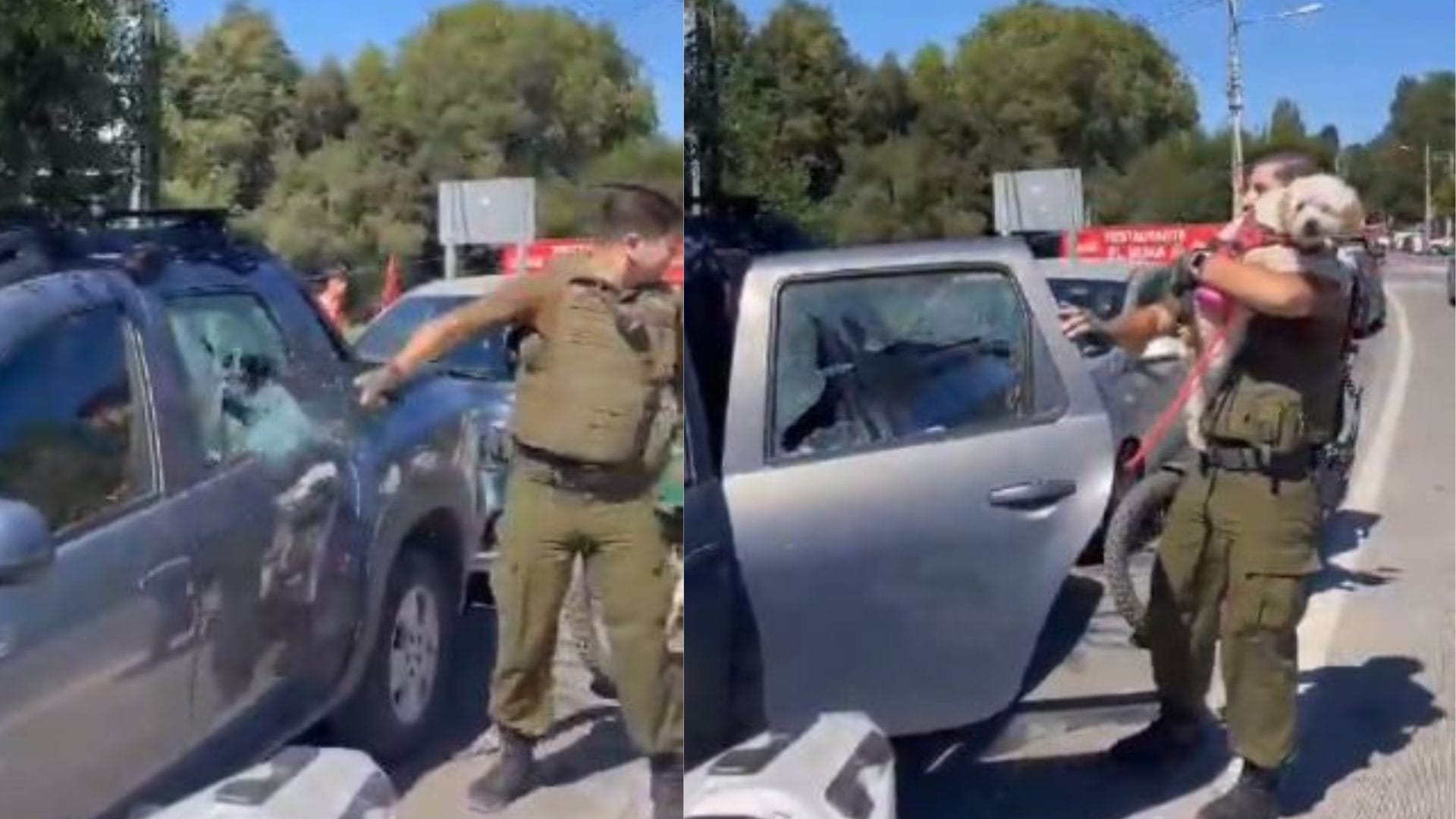 Carabinero salvó a perrito encerrado dentro de un vehículo bajo fuerte sol en los Saltos del Laja