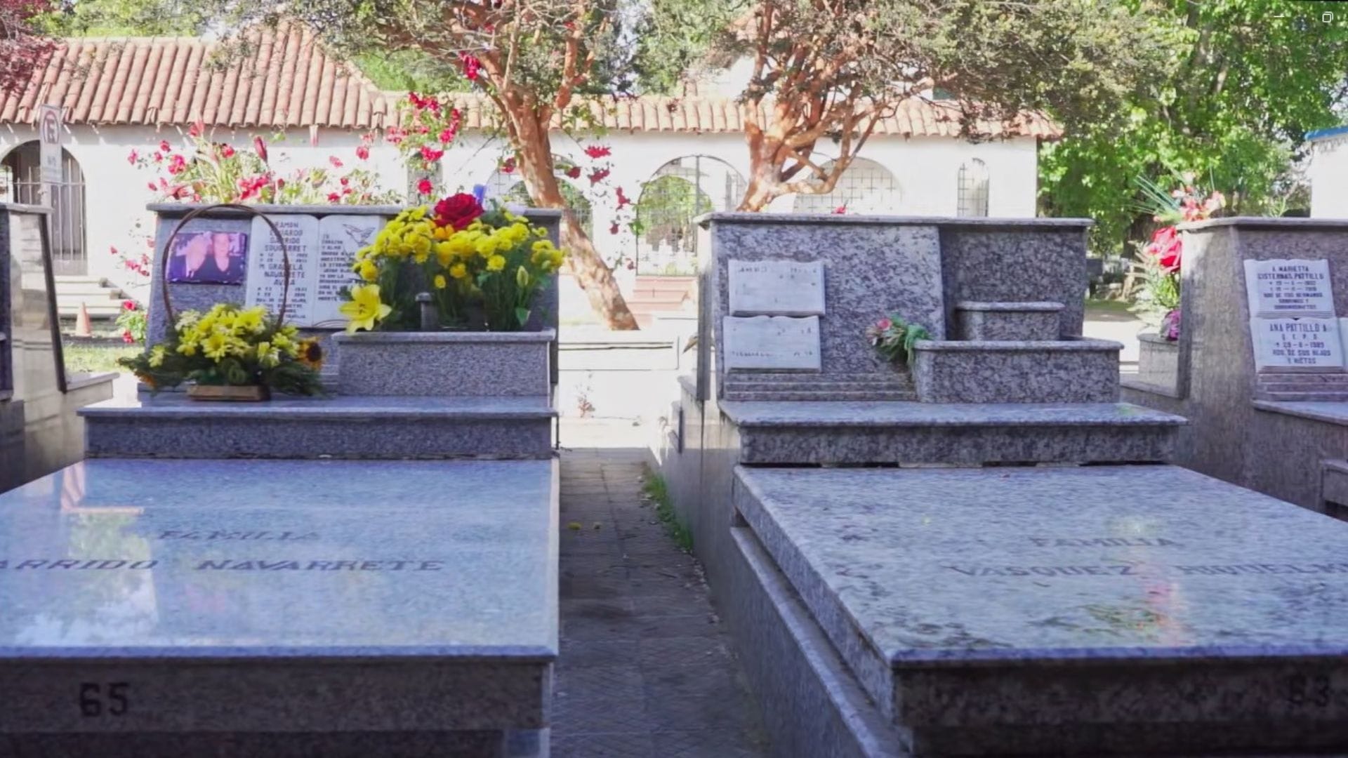 Cementerio General y Crematorio de Concepción: Un lugar donde el arte y cultura se unen a la memoria de quienes han partido