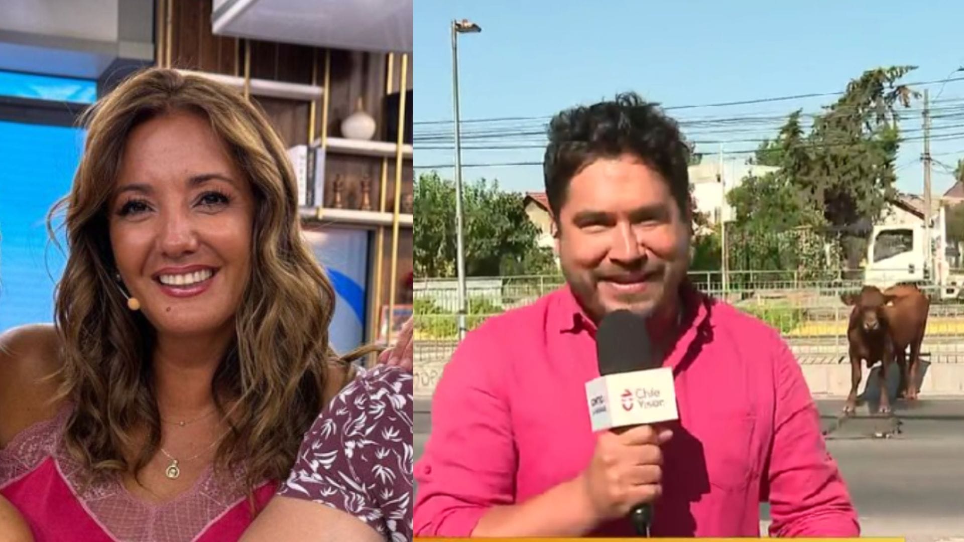 Gino Costa respondió a críticas de Priscilla Vargas por seguir a novillo en Santiago: “Me da lata”