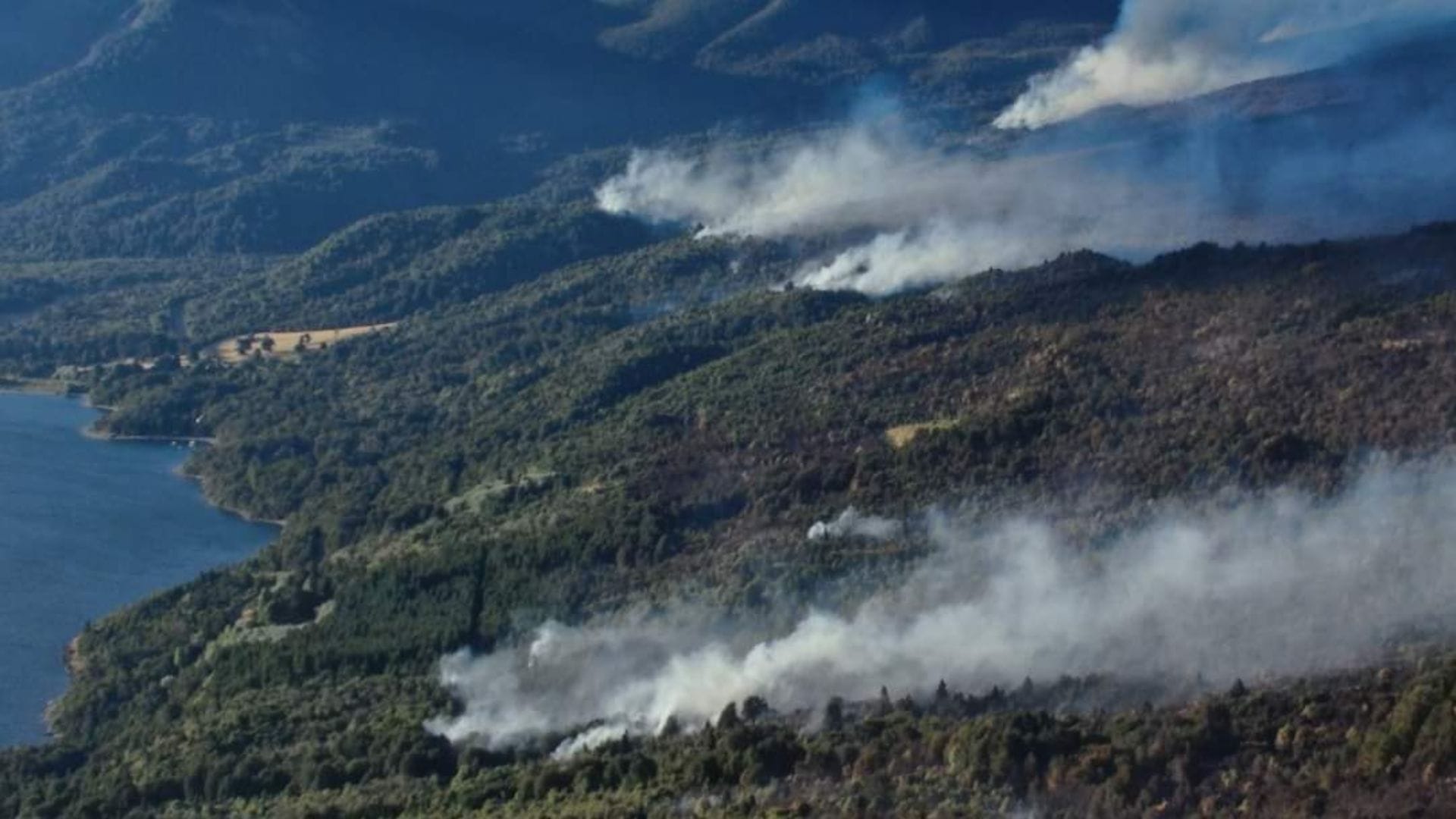 Ofrecen millonaria recompensa para dar con los autores de incendios forestales en la Patagonia de Argentina