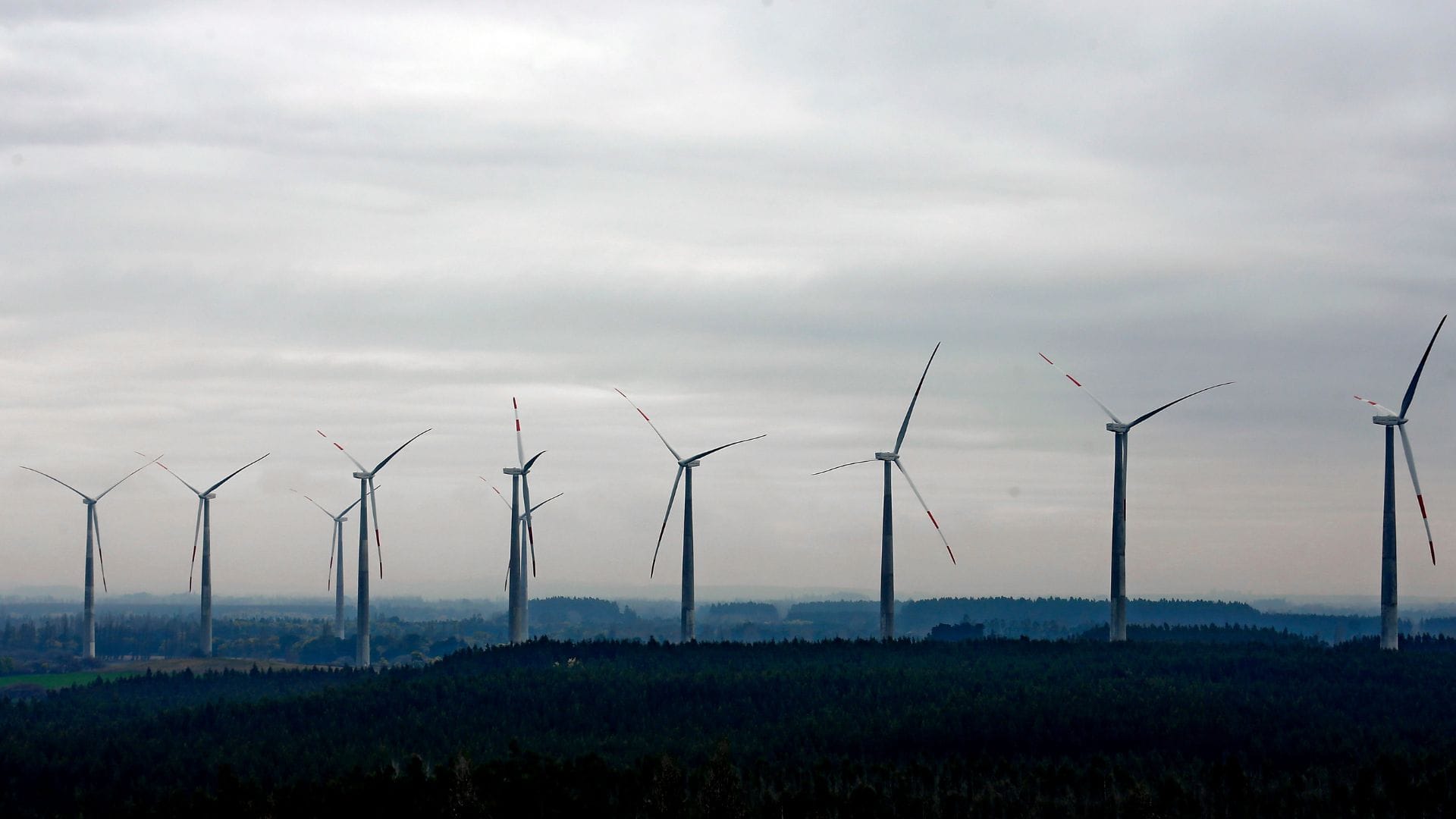 Energías limpias impulsan crecimiento económico en el Biobío este 2024: Esperan gran aumento en generación
