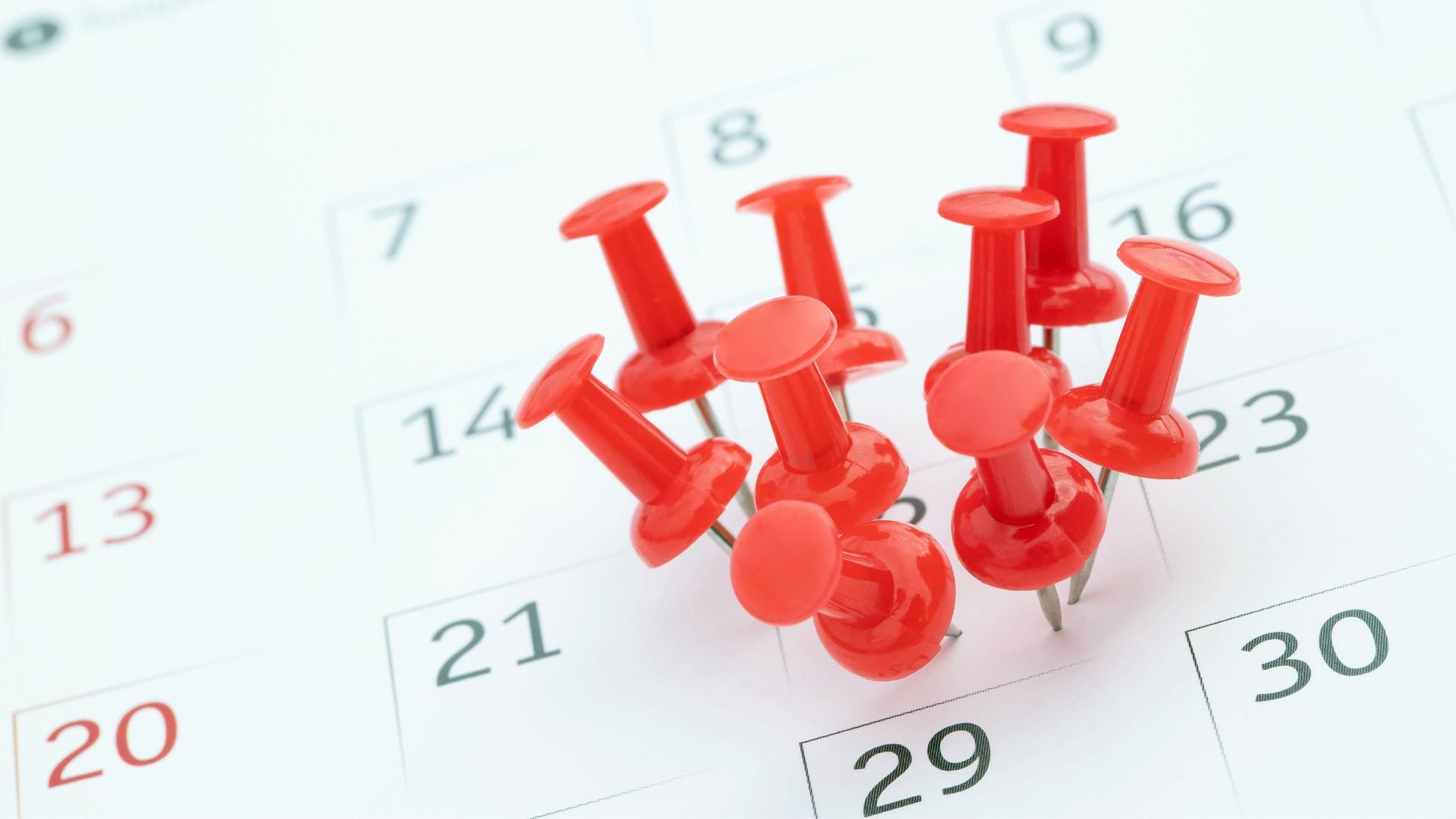 ¿Cuándo es Semana Santa este 2024? Revisa los días feriados