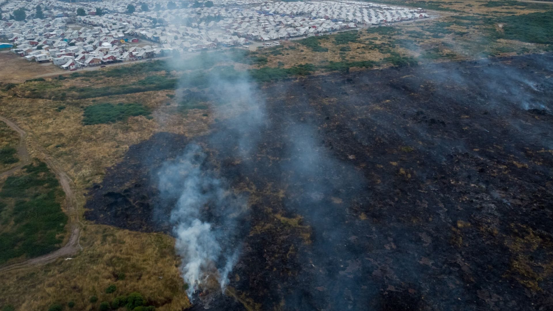 ¿Qué es un incendio subterráneo?: El siniestro que lleva una semana activo en el Alto Biobío
