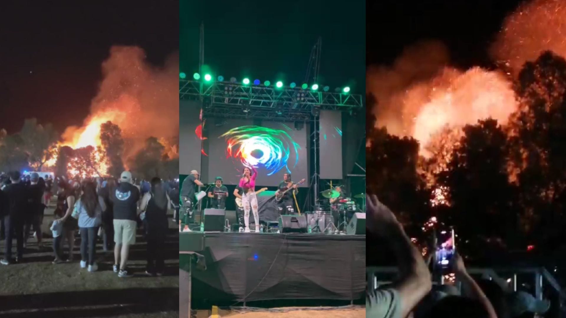 Registran el inicio de un incendio forestal durante fiesta de Mulchén: Lograron controlarlo