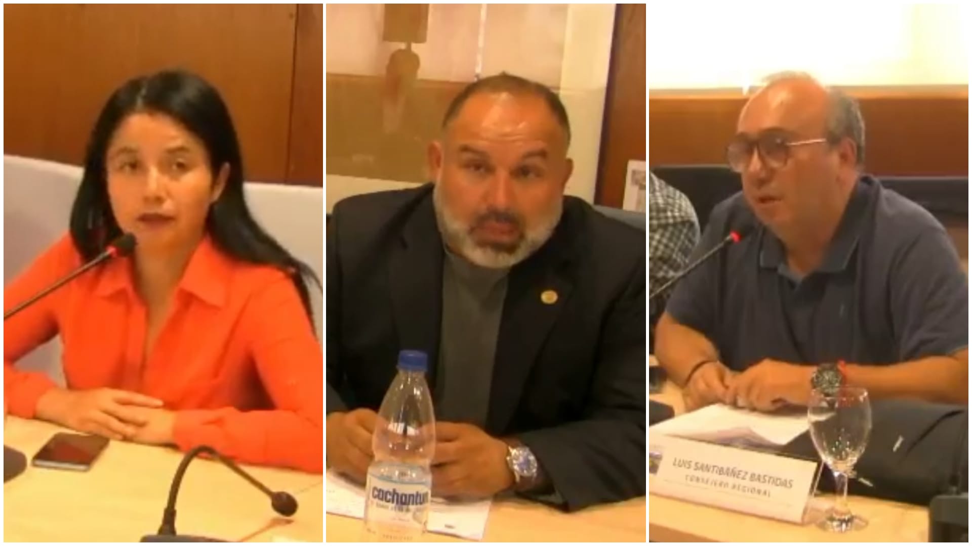 “Andai loca”: Frase desata la polémica en sesión del Consejo Regional del Biobío
