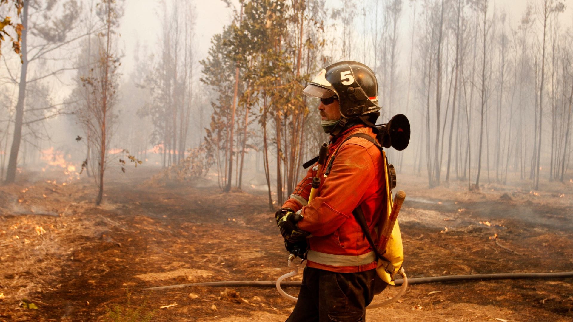 Humorista “El Flaco” se suma a combate de incendios en Quinta Región