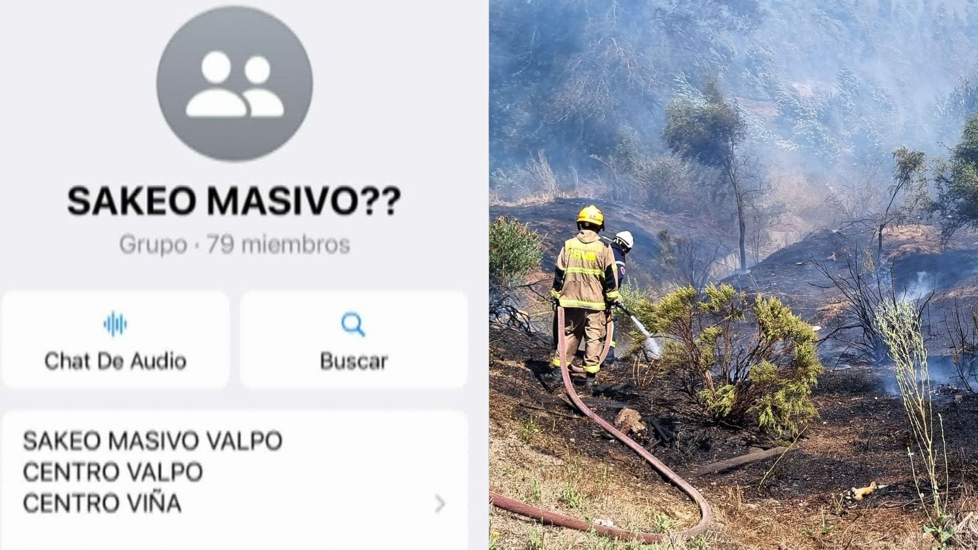 Preocupación en la Quinta Región por grupos de WhatsApp donde se planean saqueos