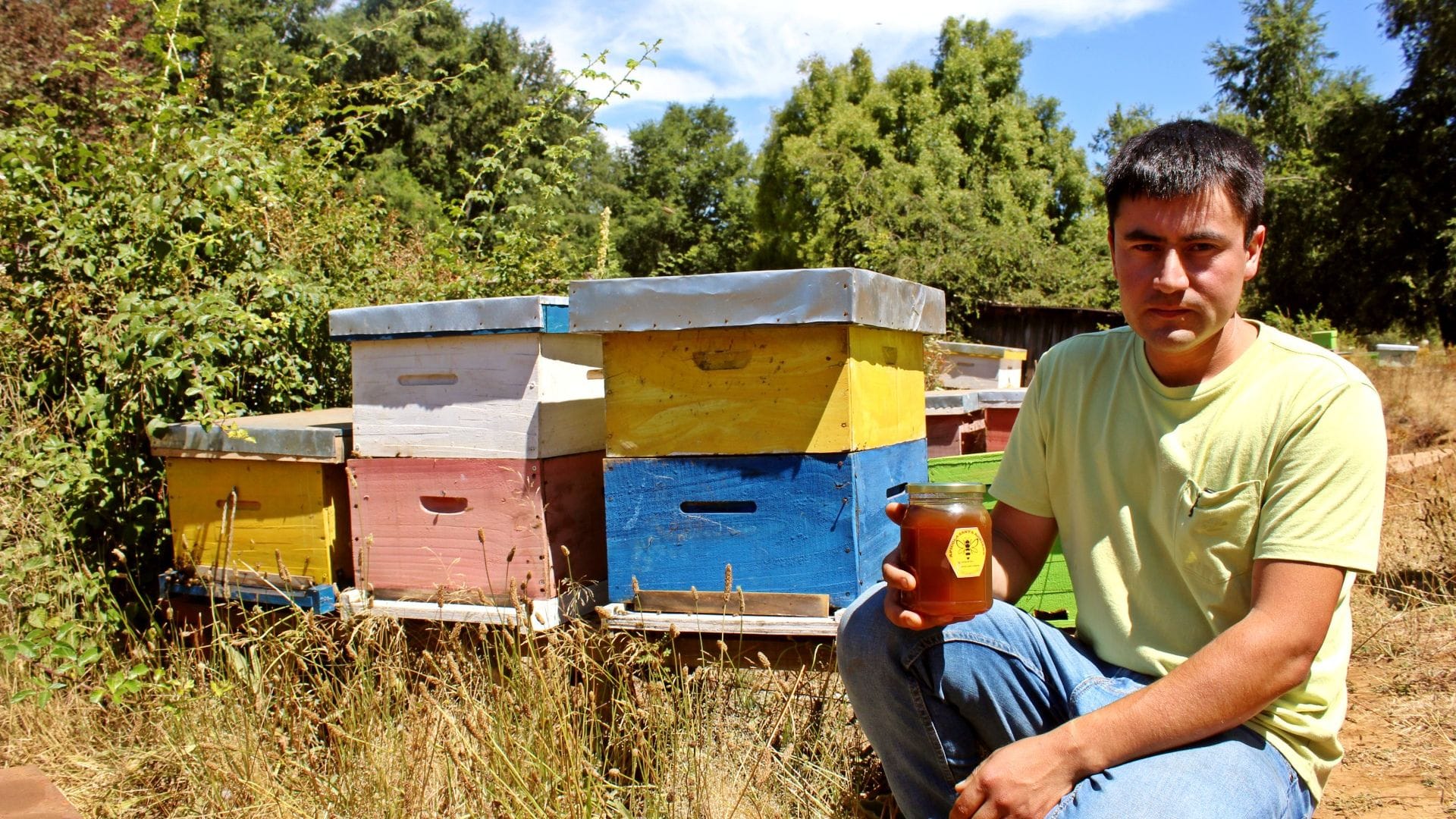 La historia del “guardián” de las abejas en Mulchén: Creó emprendimiento apícola sostenible y ecológico
