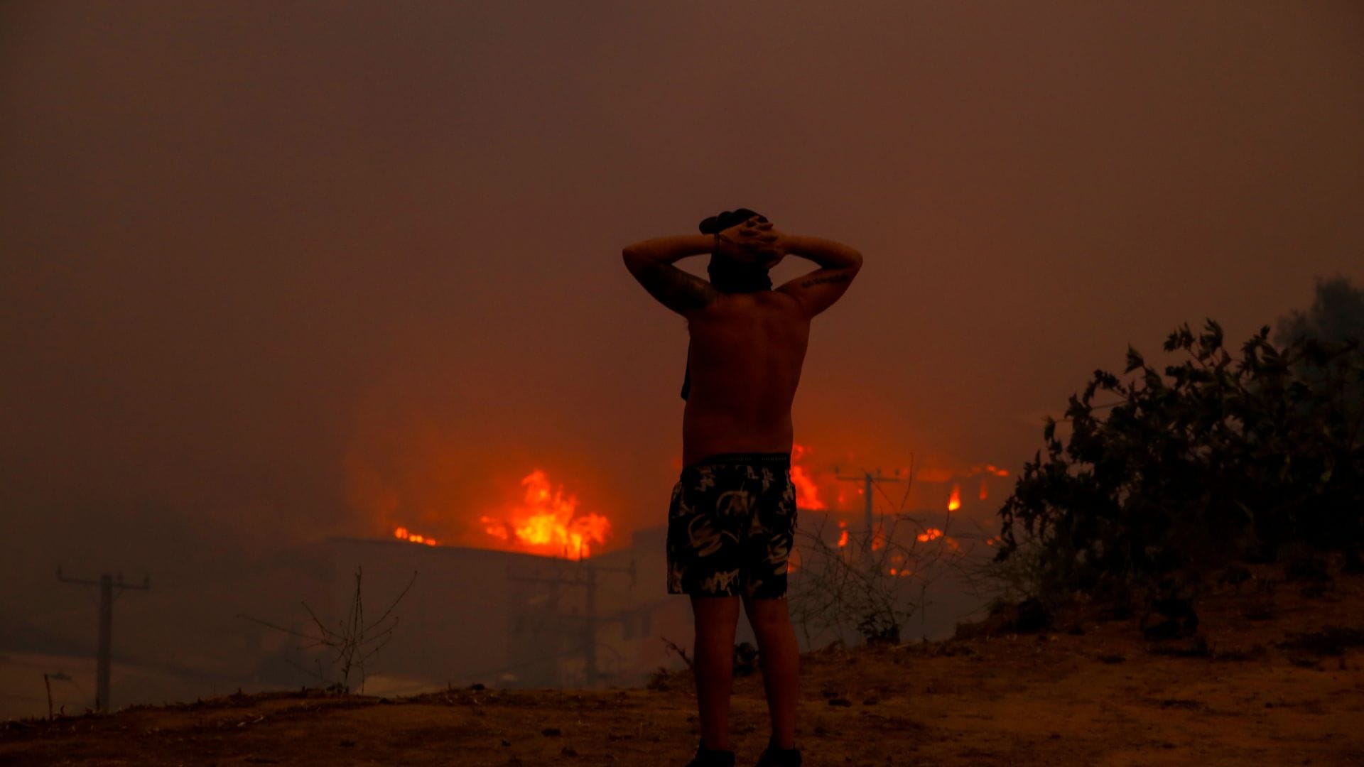 19 personas fallecidas: Entregan nuevo balance por los incendios en la región de Valparaíso
