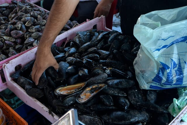 Semana Santa: Los resguardos que se deben tener a la hora de consumir pescados y mariscos