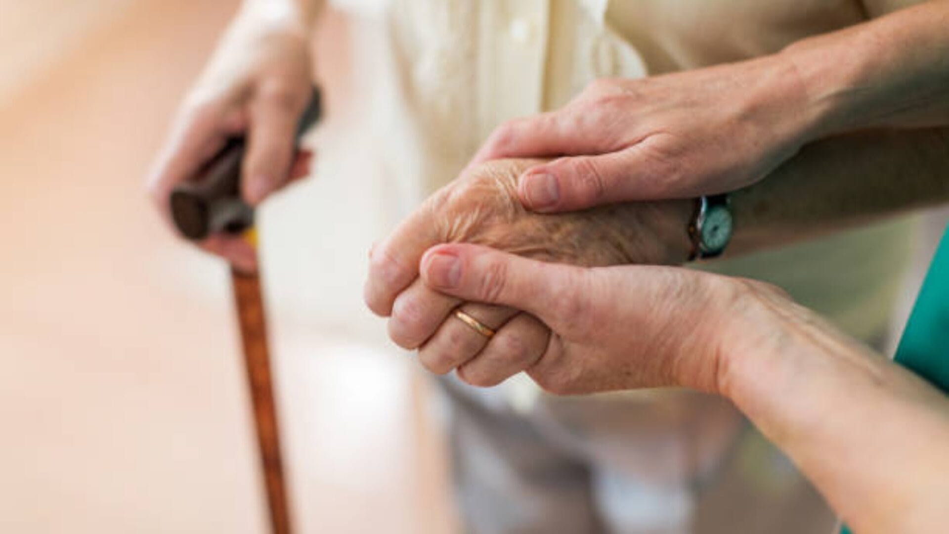 Estudio indica que en 10 años habrá un 31% más de adultos mayores en el Biobío
