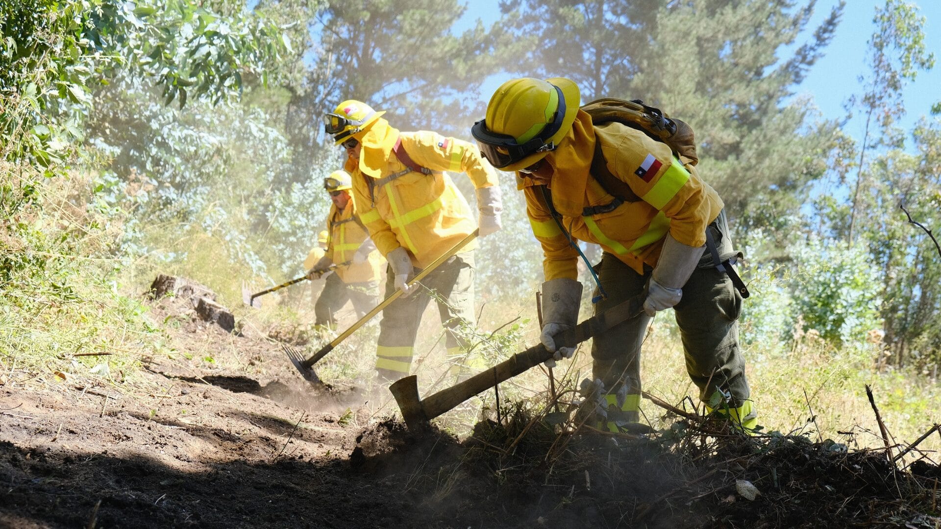 Incendios combatidos por CMPC en el Biobío y La Araucanía disminuyen a tres en los últimos 4 días