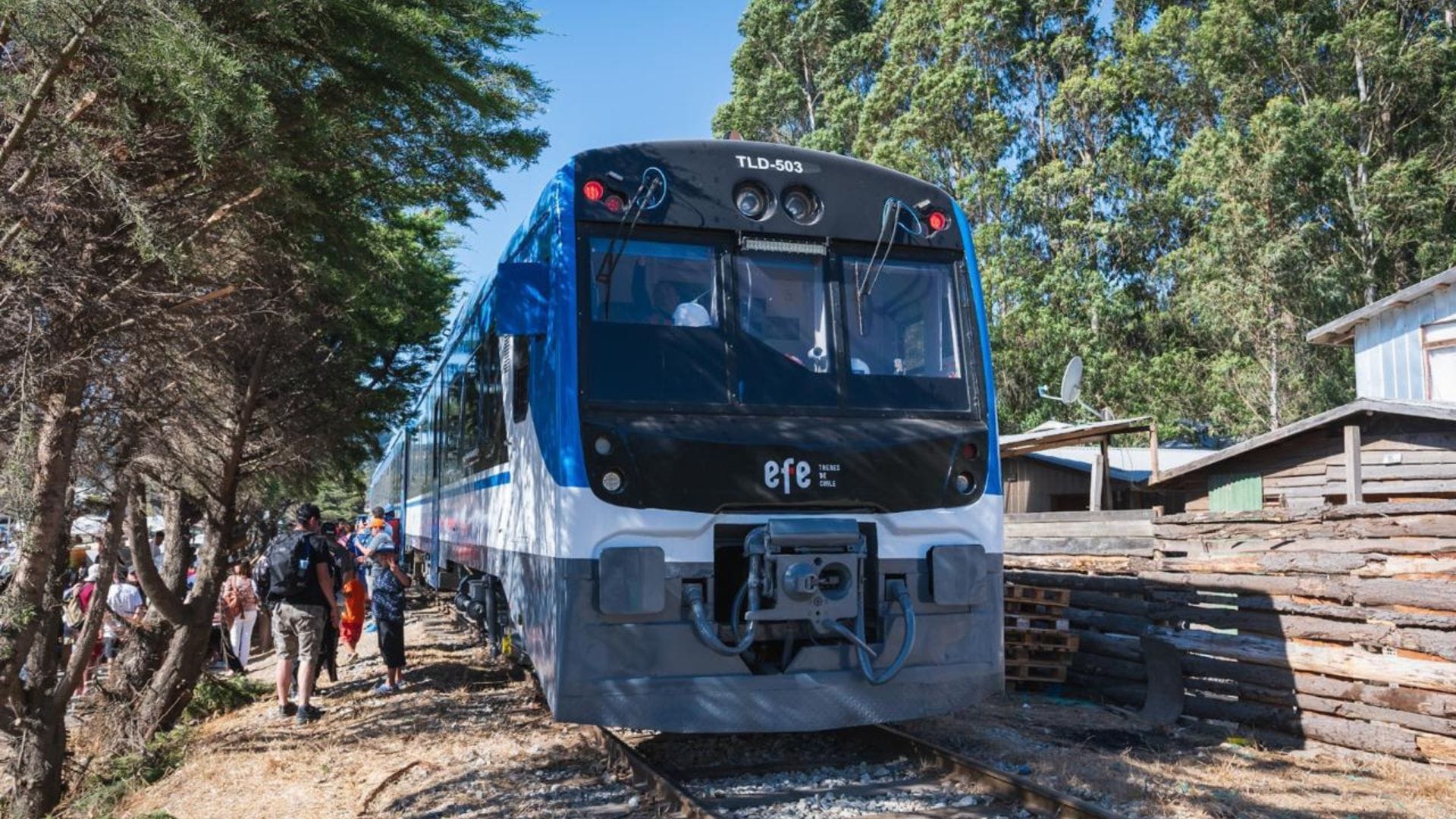 EFE confirma retorno del tren turístico por semana santa en el Biobío: Conoce los valores y el destino