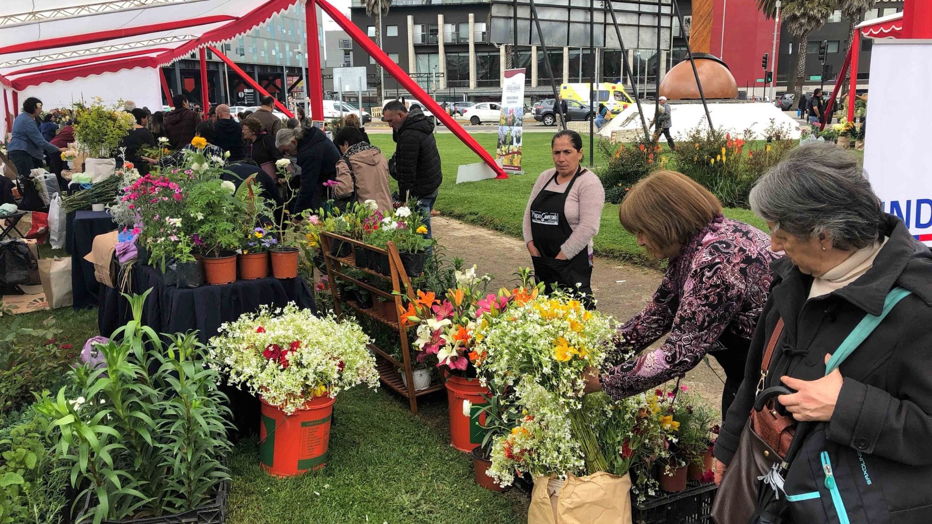 Feria “Despertar Campesino” llega a Concepción con lo mejor de la agricultura local: Estará en Plaza España