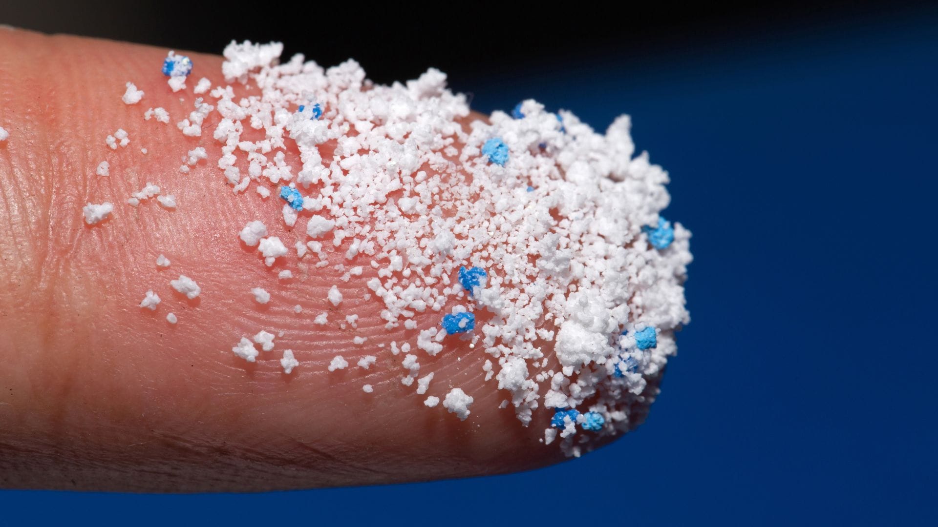 Detectan que los microplásticos se fijan a las células y podrían impulsan la metástasis del cáncer