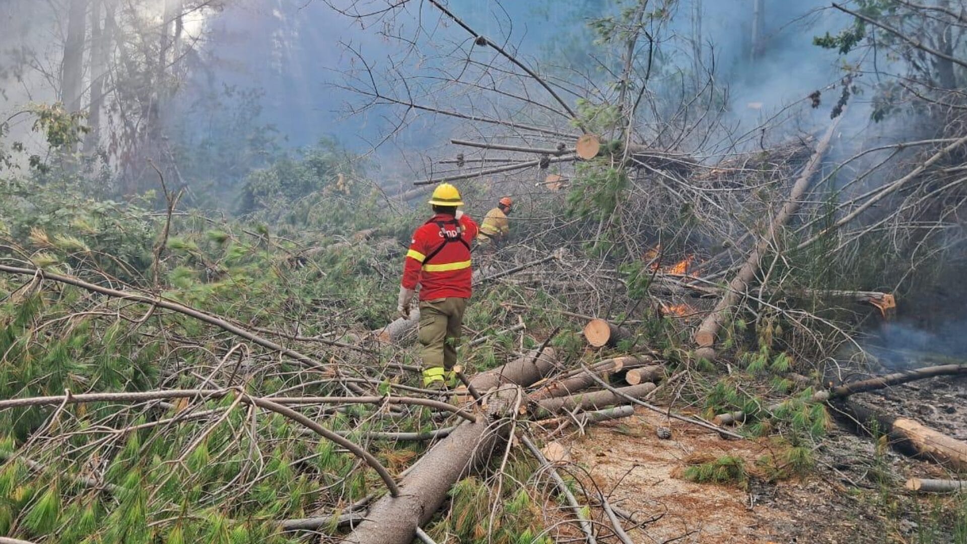Lumaco registra uno de los incendios multifoco de difícil combate y control de esta semana