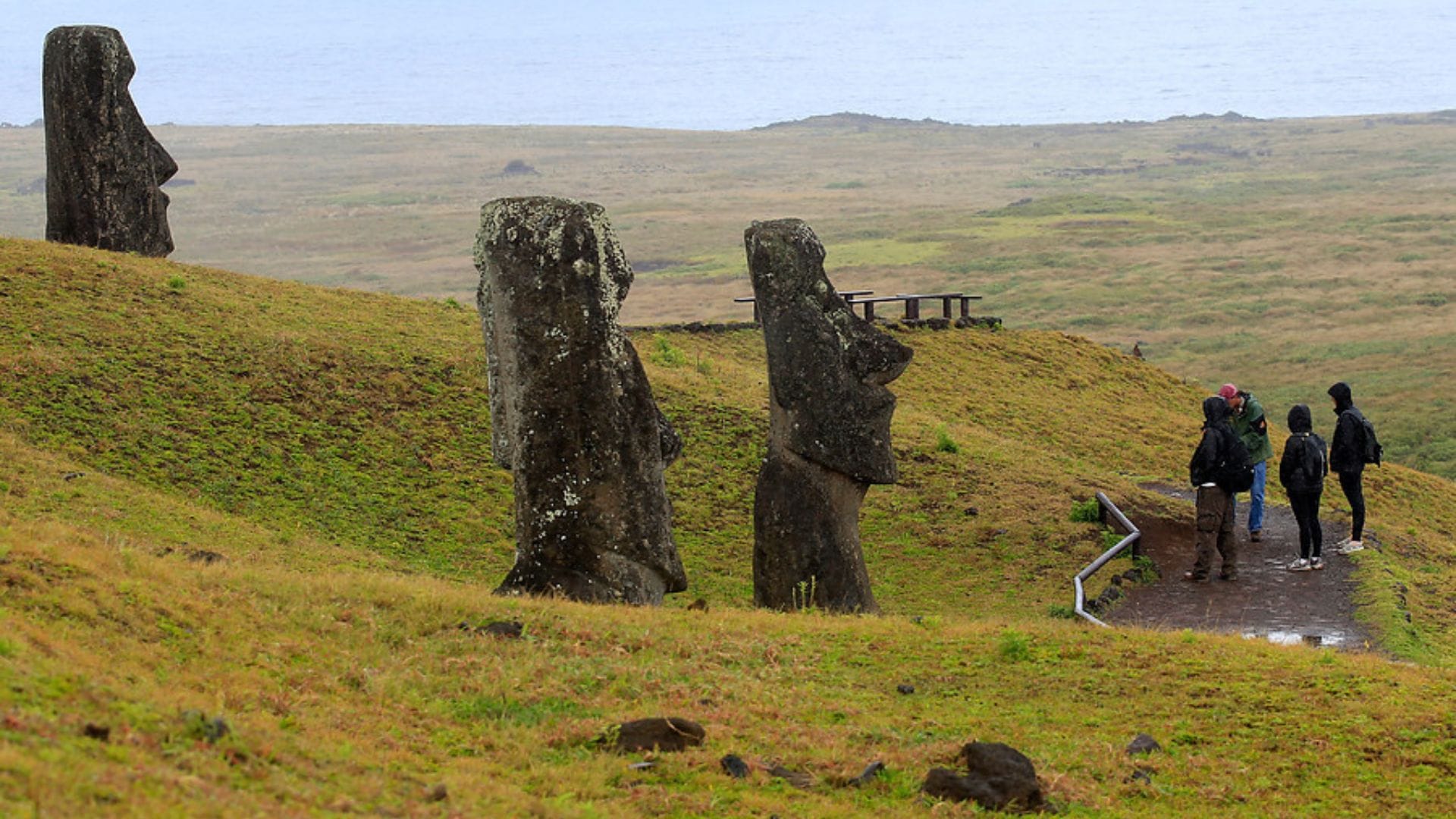 Pacientes están aislados: Confirman tres casos autóctonos de dengue en Isla de Pascua
