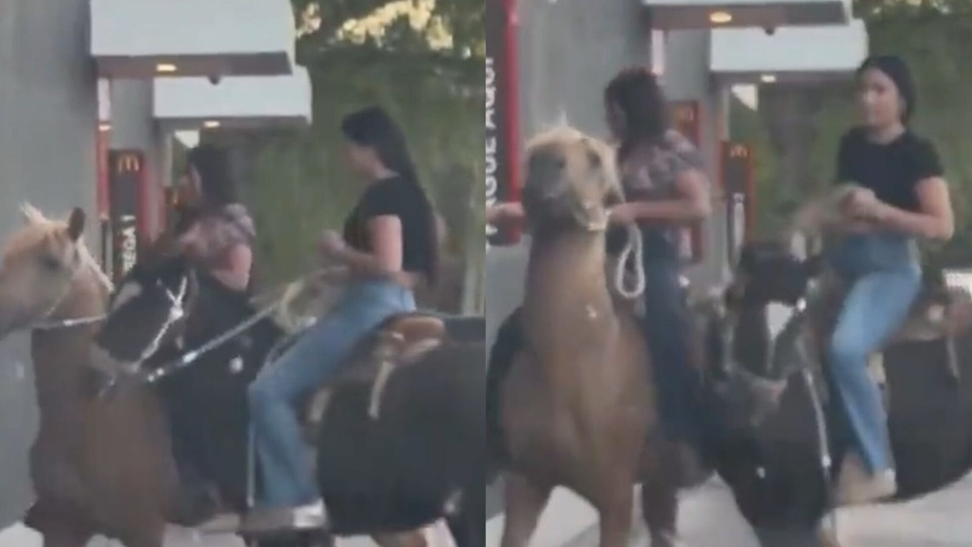 Mujeres se vuelven viral tras comprar a caballo en Automac de Talca