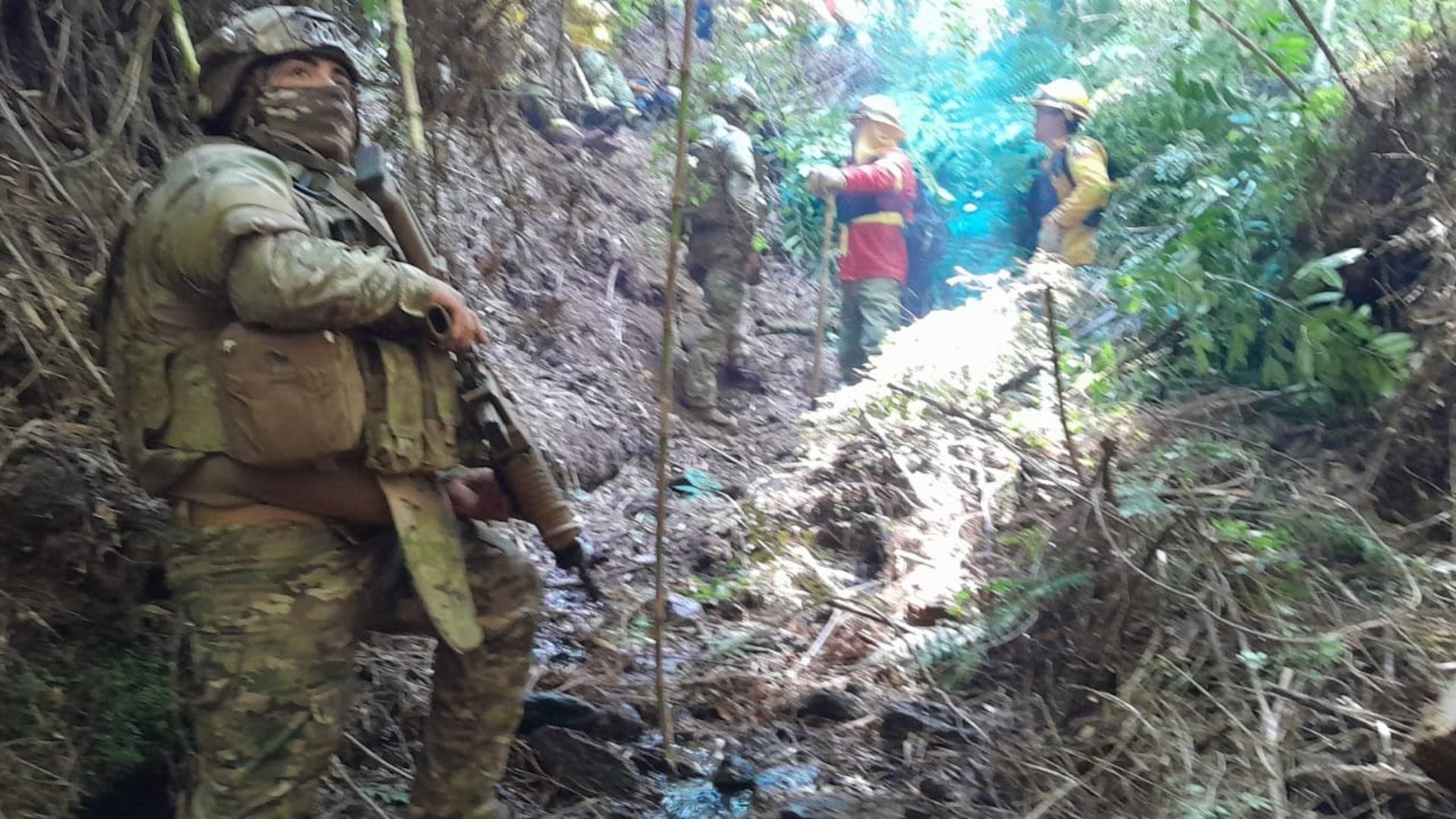 Editorial: Infantes de Marina armados resguardan a los brigadistas en el incendio de Tirúa
