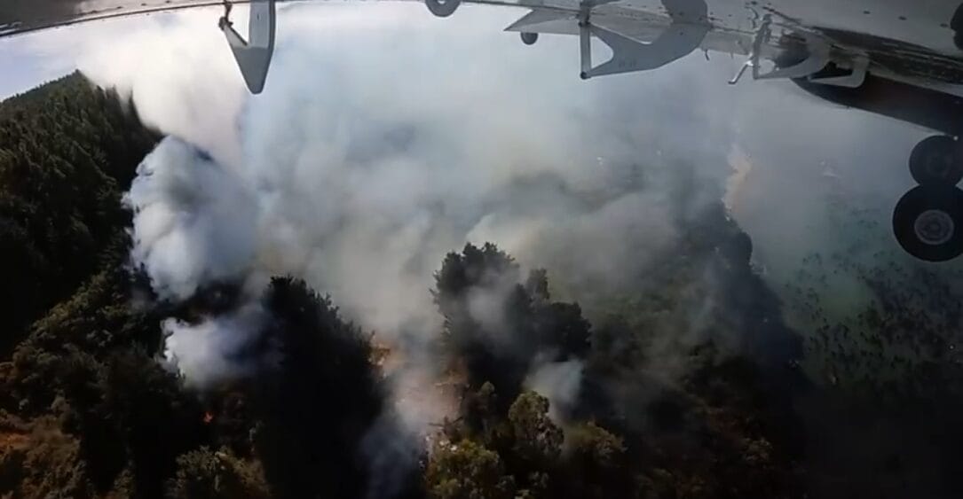 Controlan incendio forestal que afectó a Caleta Tumbes en Talcahuano
