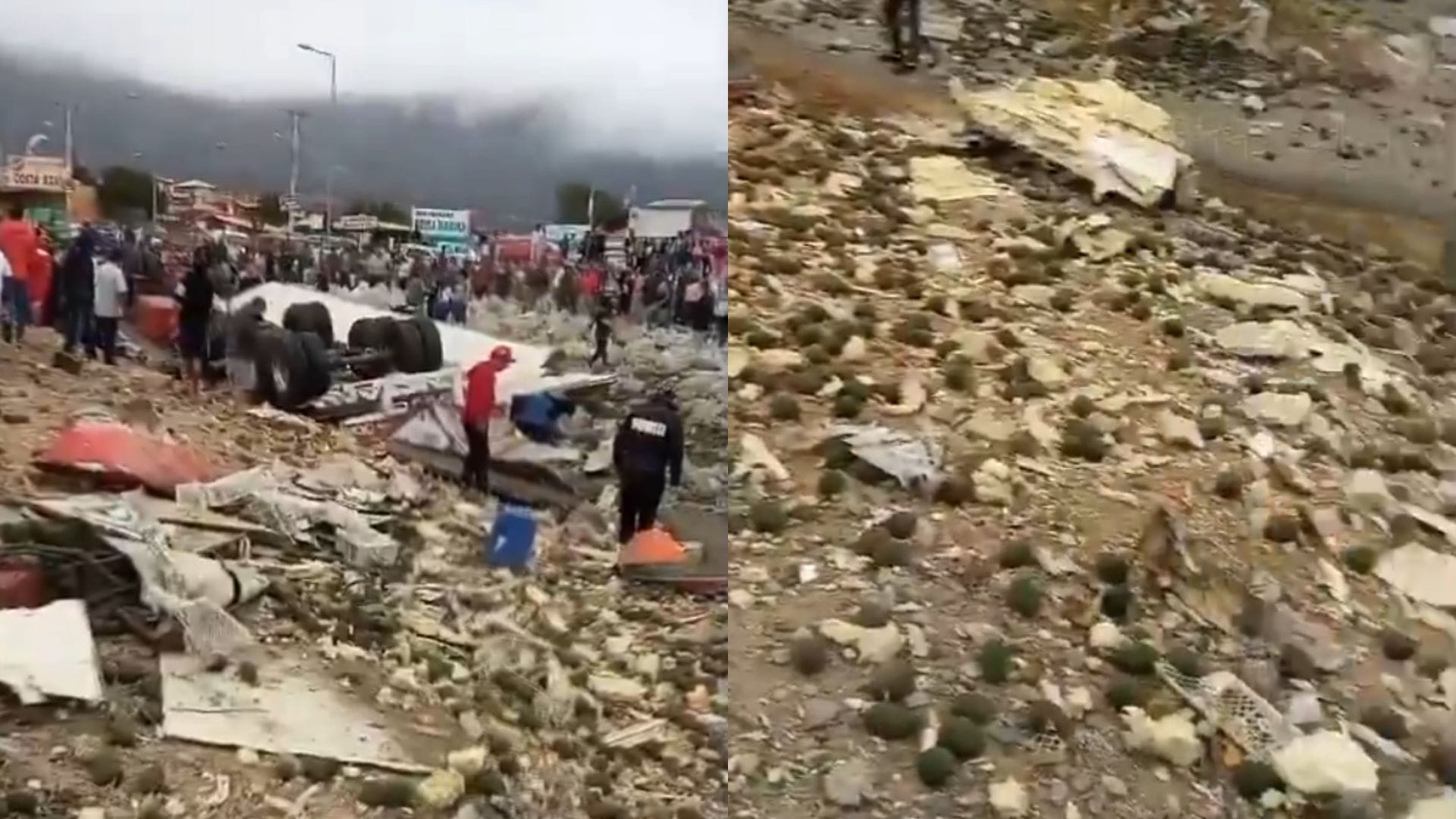 Chofer de camión muere en accidente y peatones roban su carga de paltas