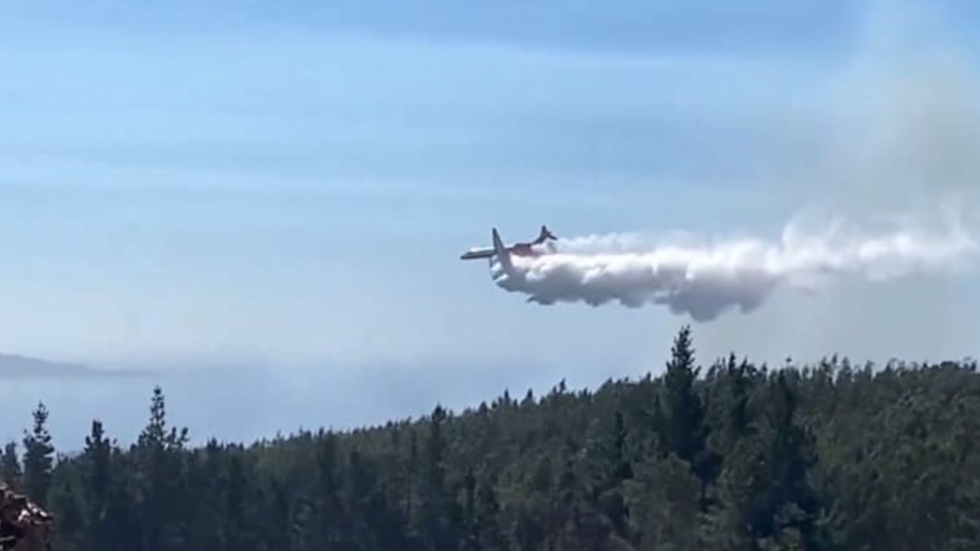Al menos 45 hectáreas afectadas tras incendio forestal en Tomé: Se declaró Alerta Amarilla