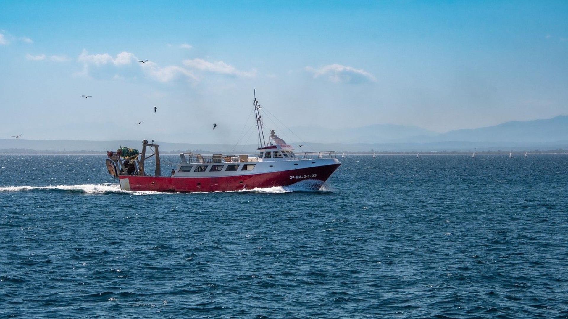 Entre las víctimas hay niños: Más de 90 muertos tras naufragio de barco en Mozambique