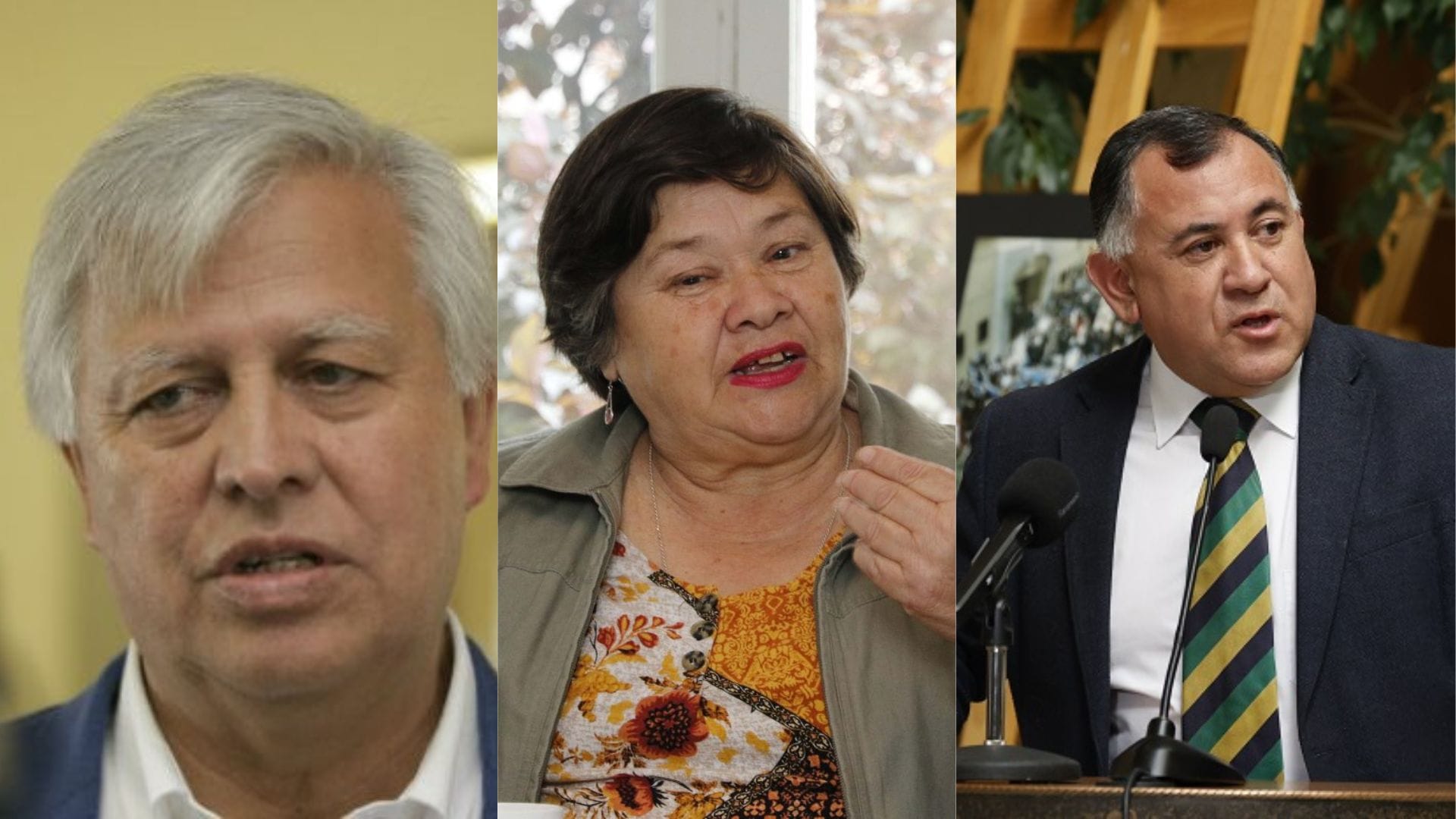 Parlamentarios valoran anuncio de la Comisión Antidistorsiones, aunque piden soluciones definitivas