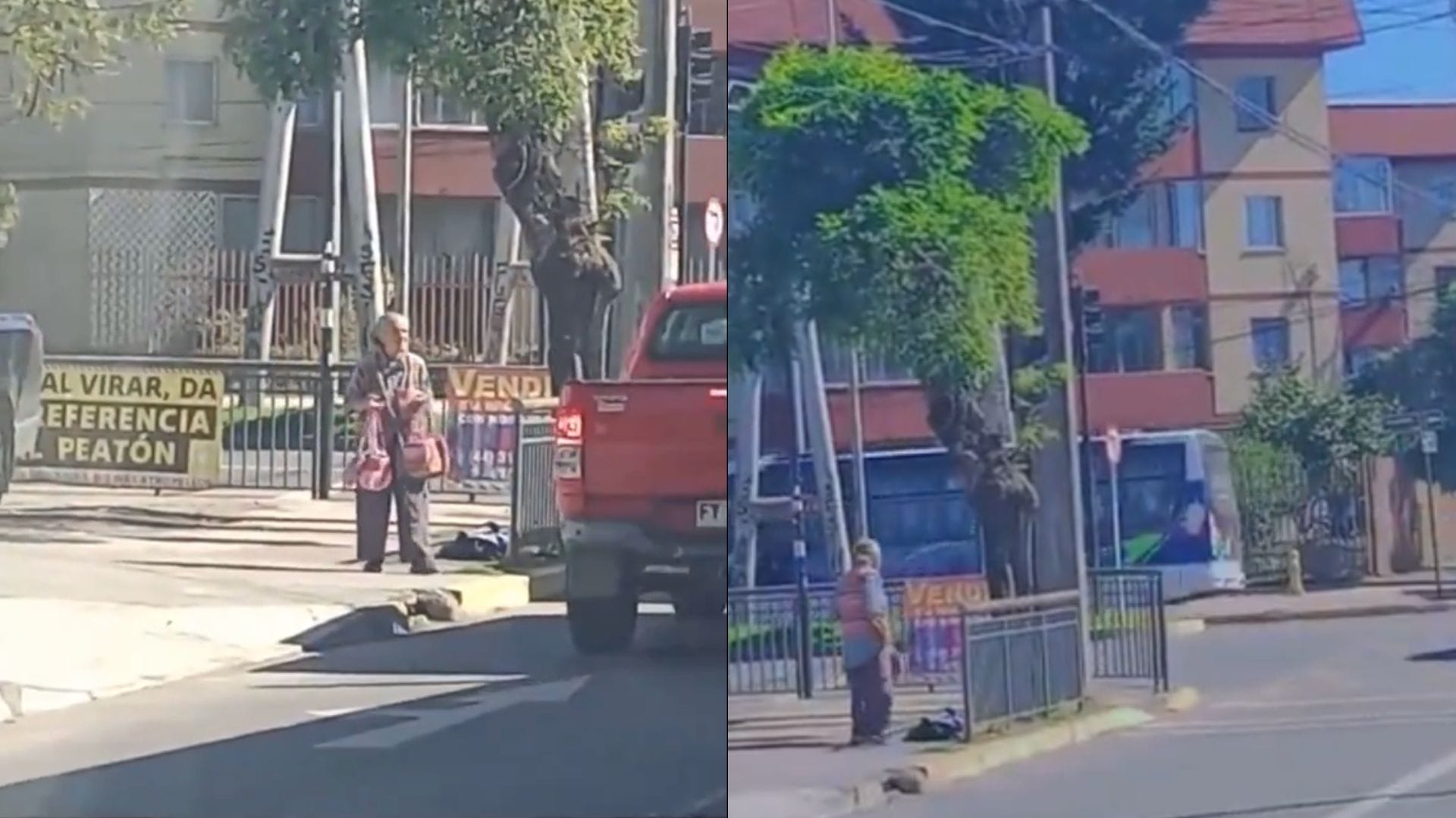 Viaja constantemente desde Coronel: La historia de Juanita, adulta mayor de 90 años que vive de la venta de bolsas de lana en Concepción