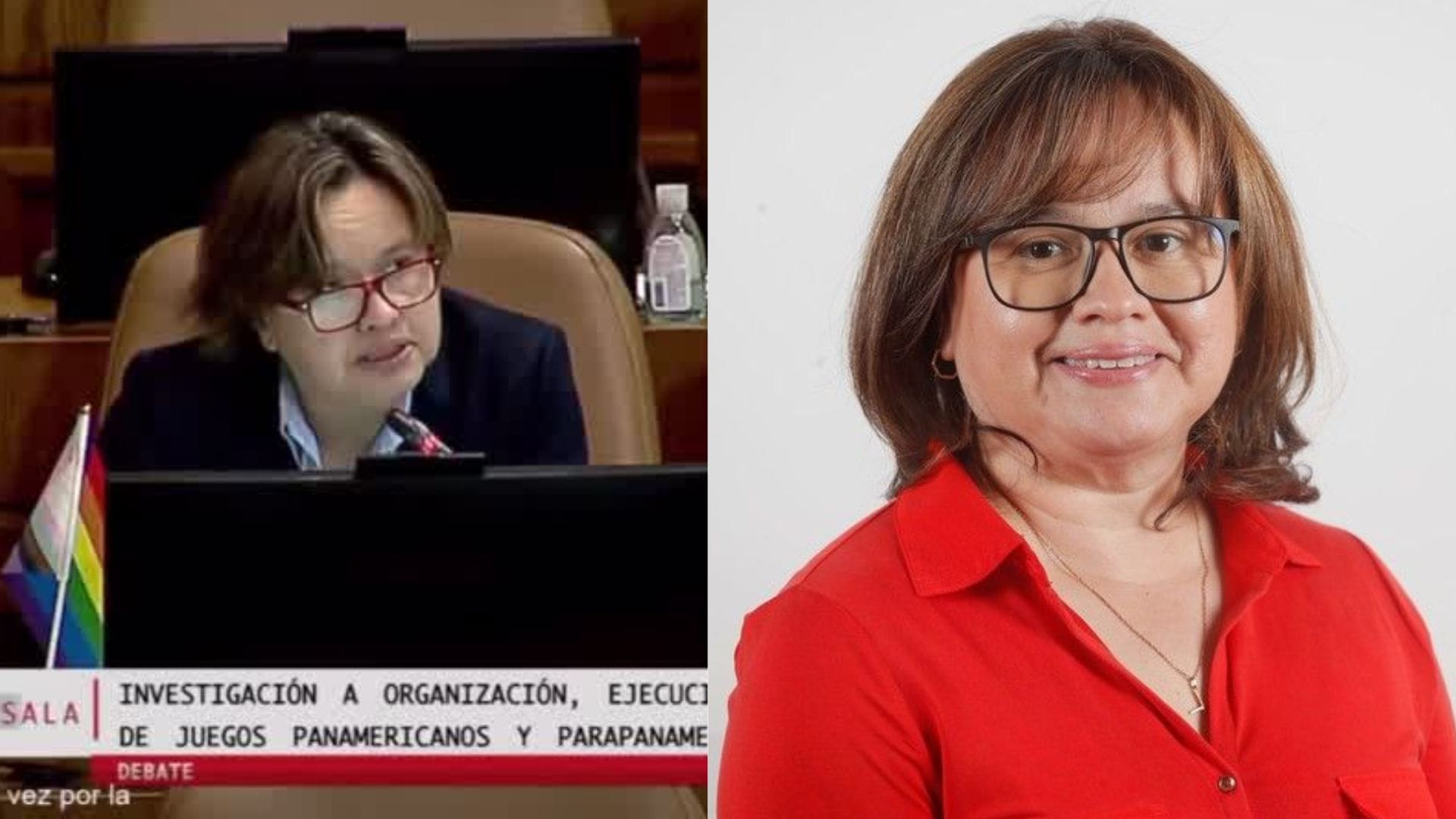 Diputada Marcela Riquelme se desmayó en plena intervención