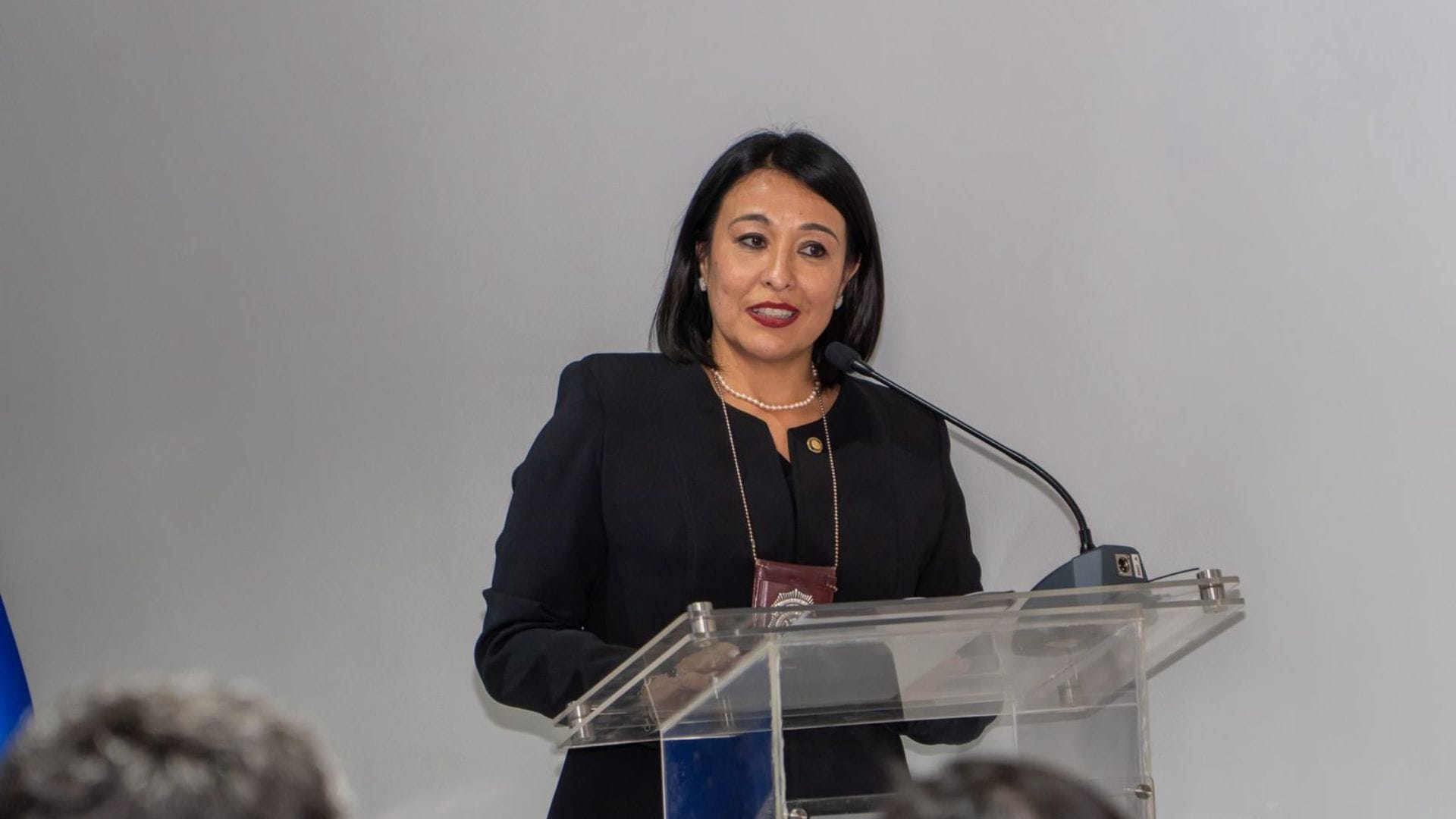 Claudia Chamorro: Primera mujer como jefa de la PDI en el Biobío