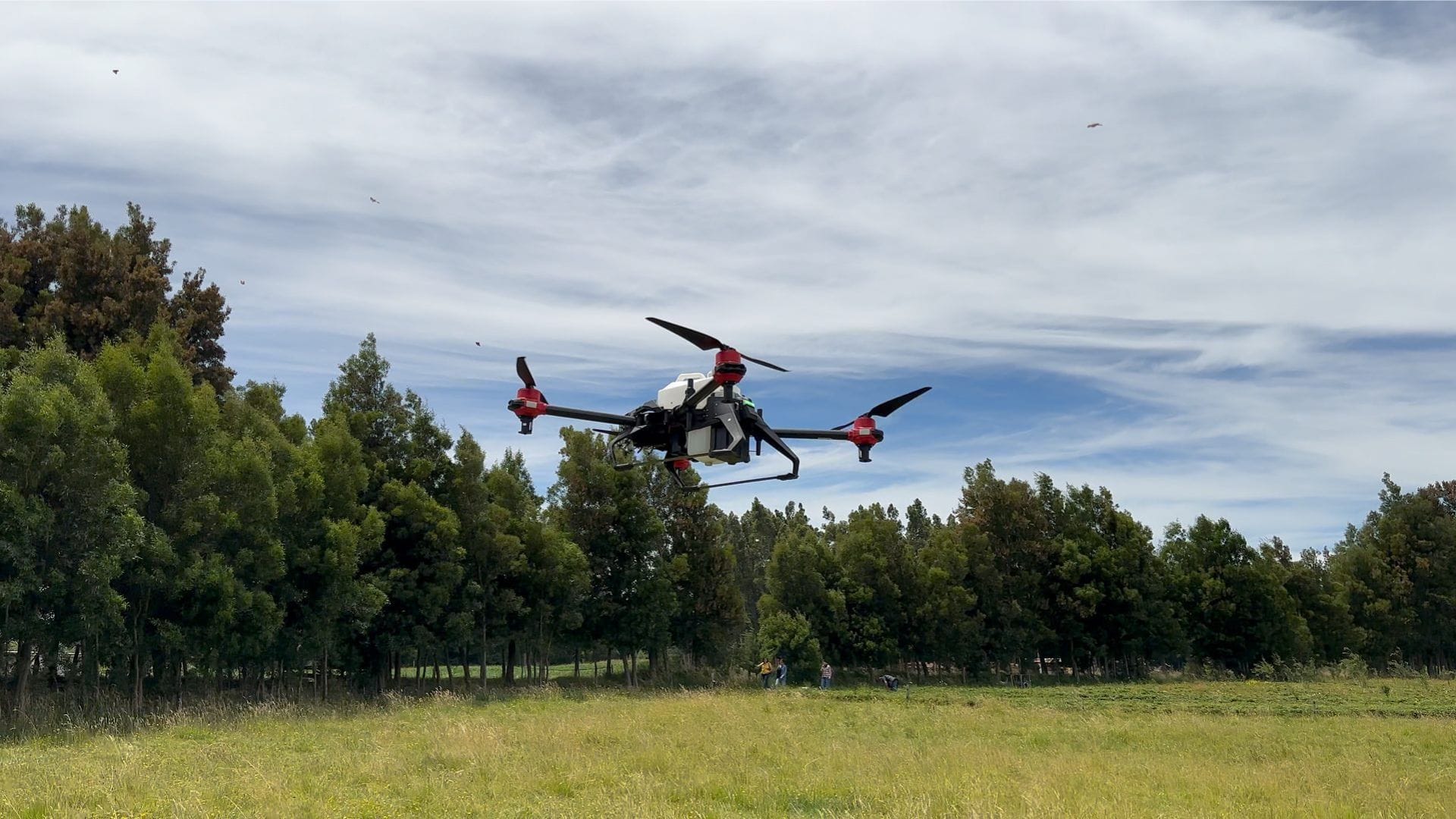 Con un dron detectan robo de madera en Curanilahue