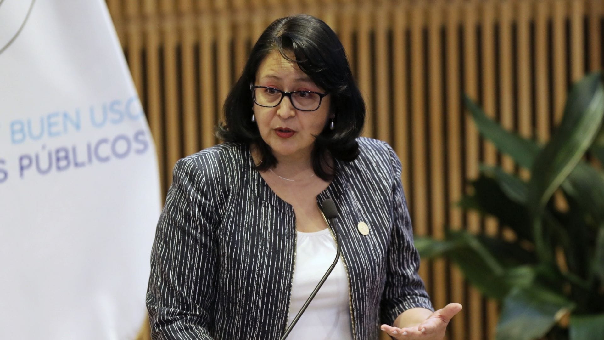 Contralora Dorothy Pérez en Concepción: “Hay personas que ni hacen sus descargos y ya son condenadas por la ciudadanía, eso no puede continuar así”