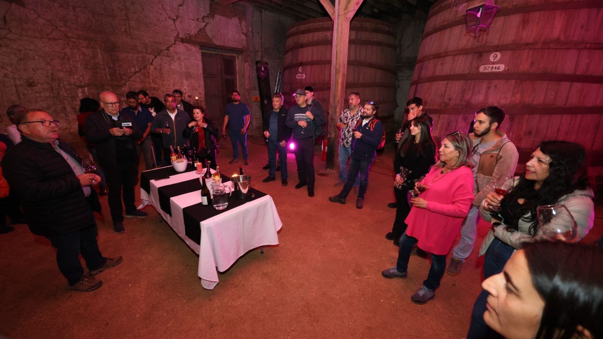 Noche del Cinsault consolida a esta cepa como uno de los atractivos del Valle del Itata